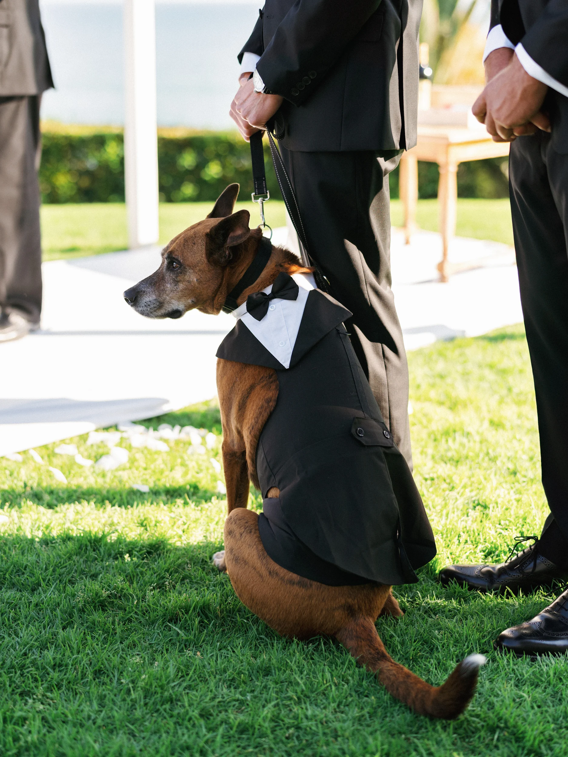 Howard & Lisa — Wedding