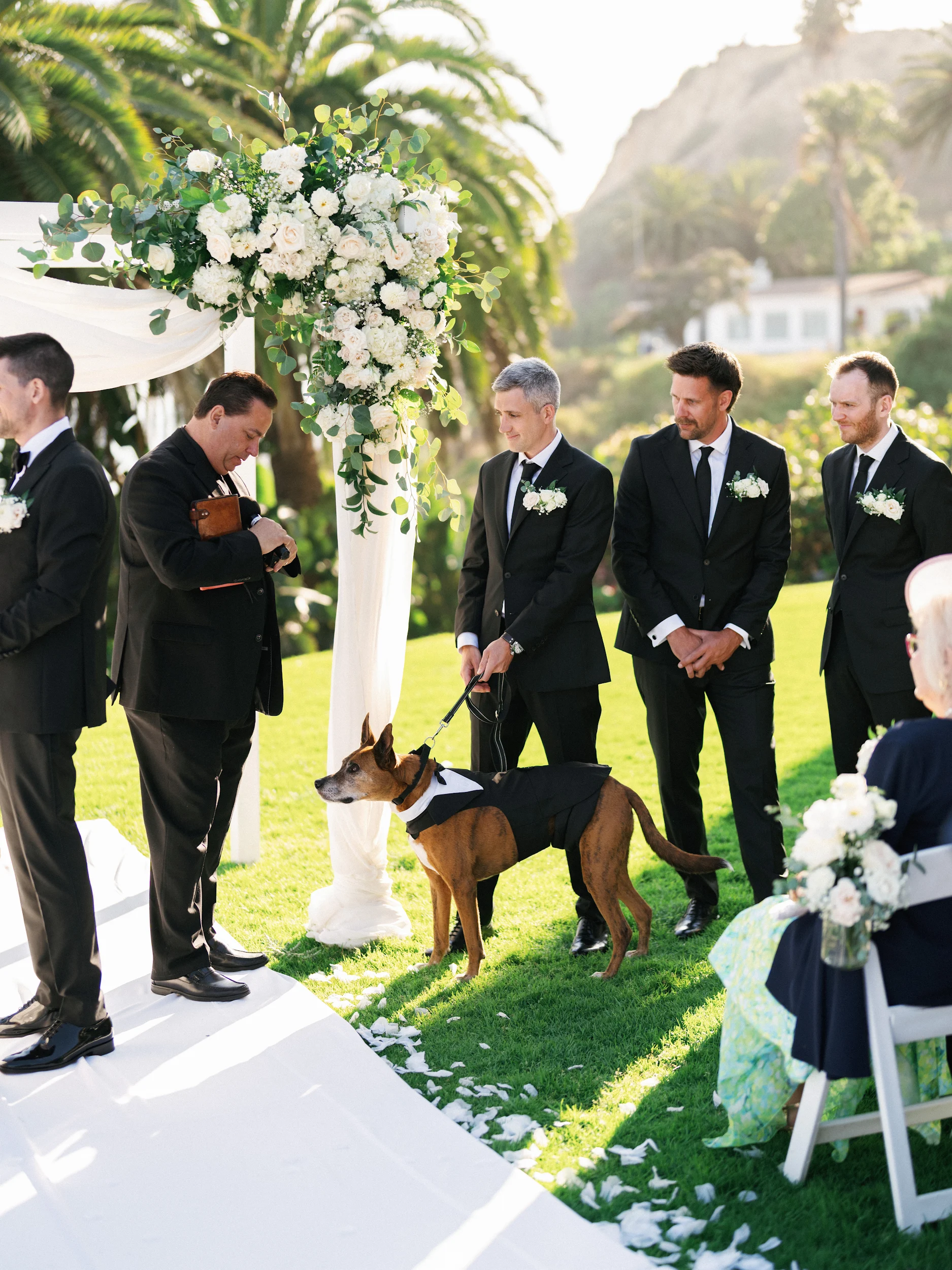 Howard & Lisa — Wedding
