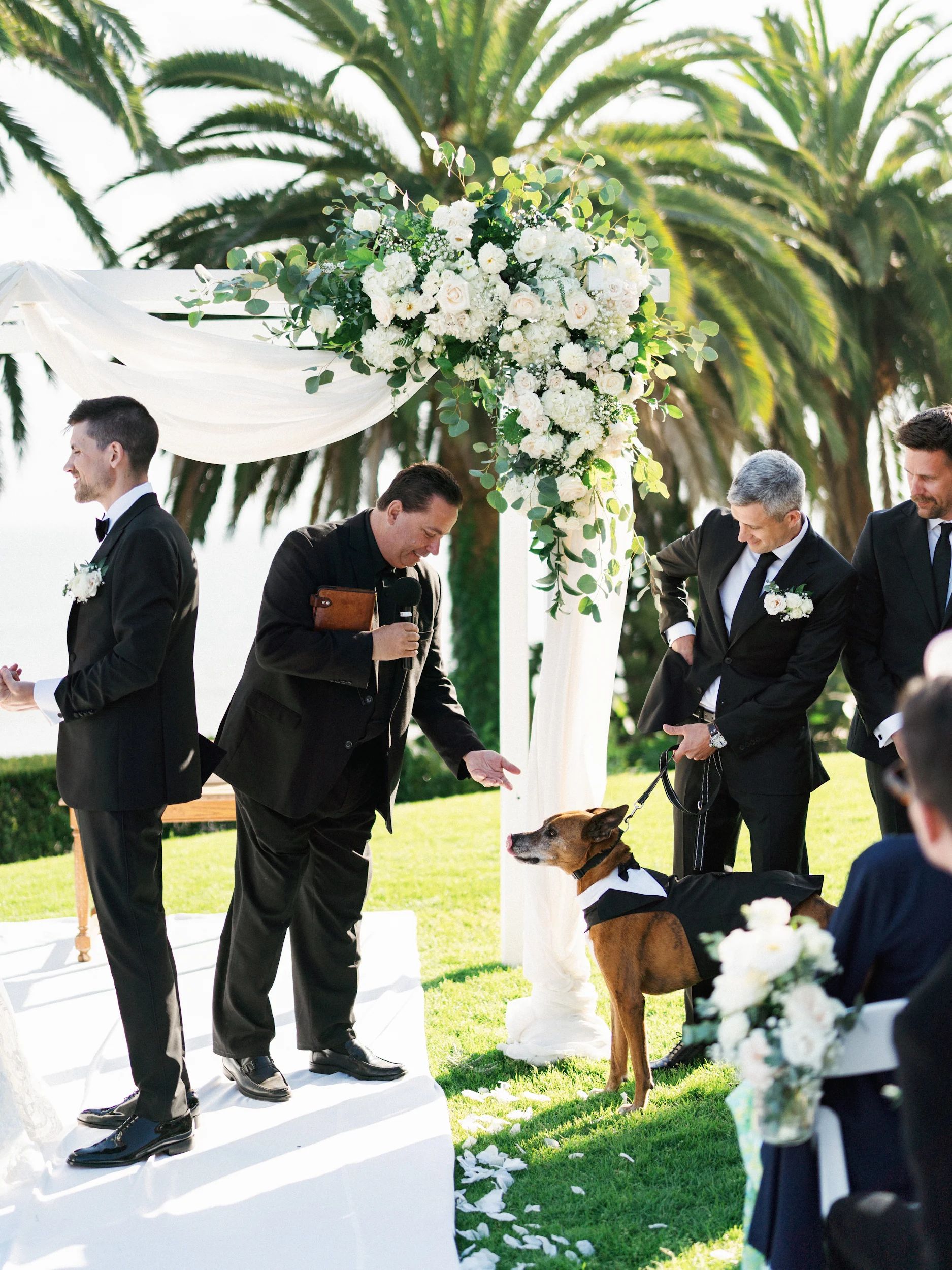 Howard & Lisa — Wedding