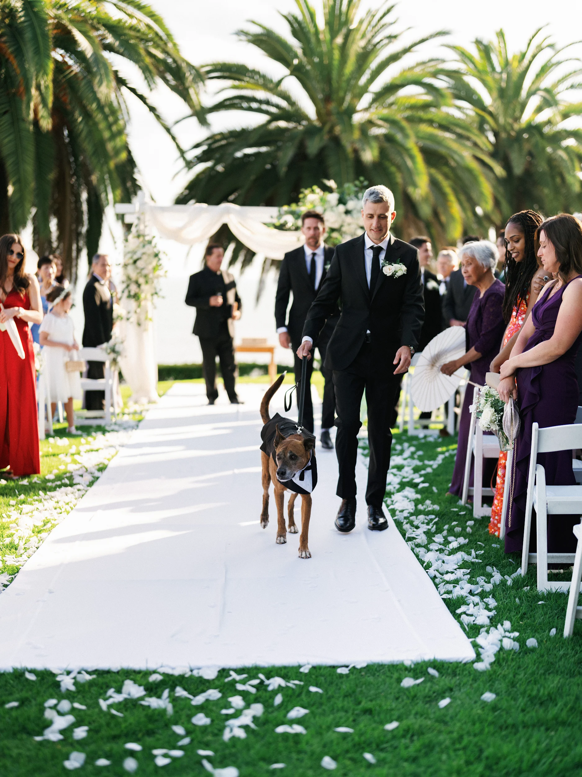 Howard & Lisa — Wedding