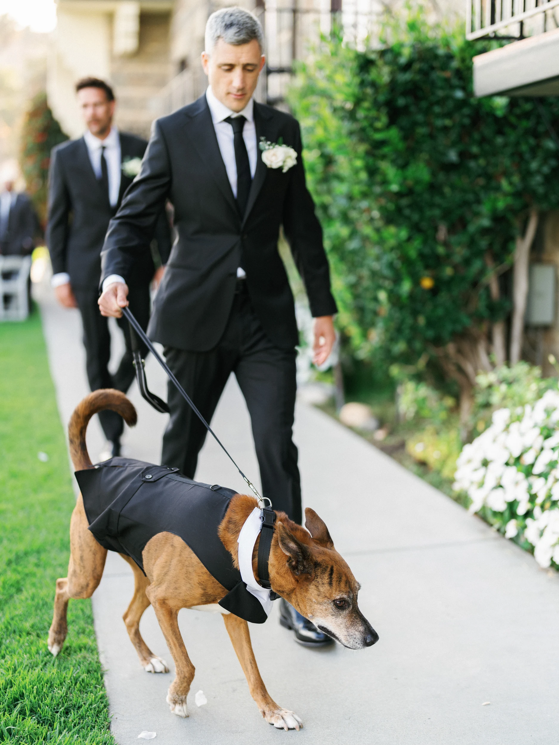 Howard & Lisa — Wedding