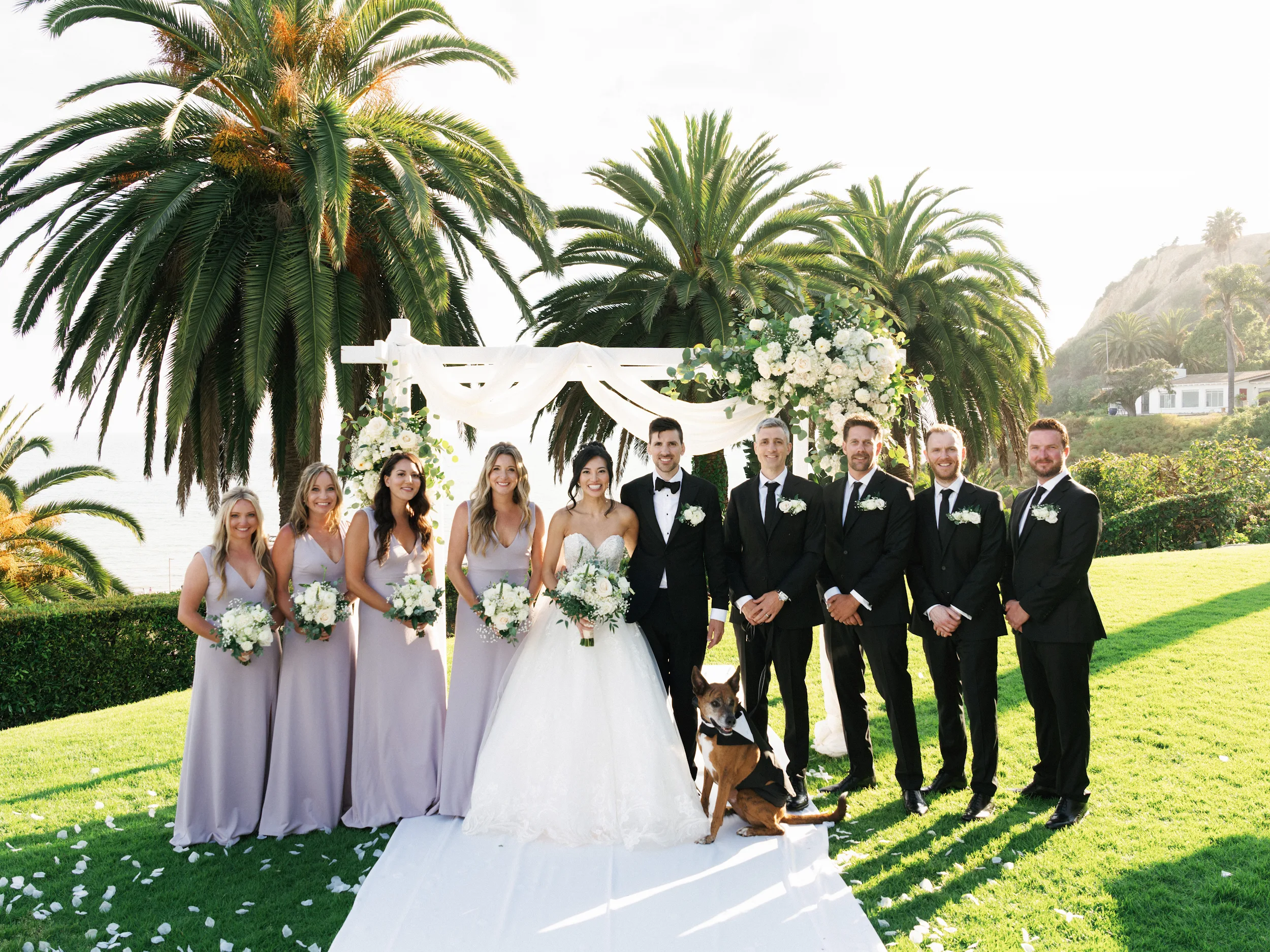 Howard & Lisa — Wedding
