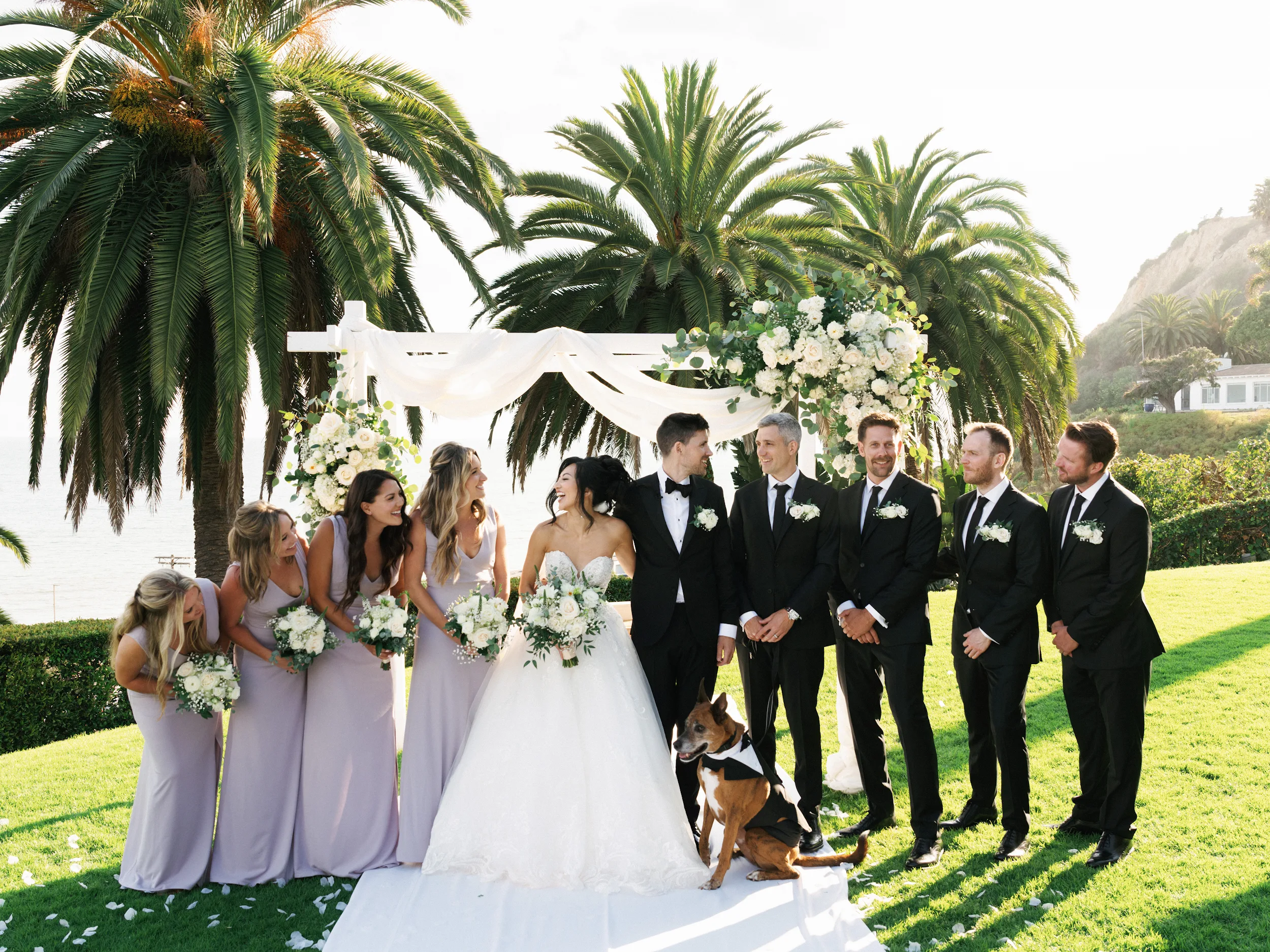 Howard & Lisa — Wedding