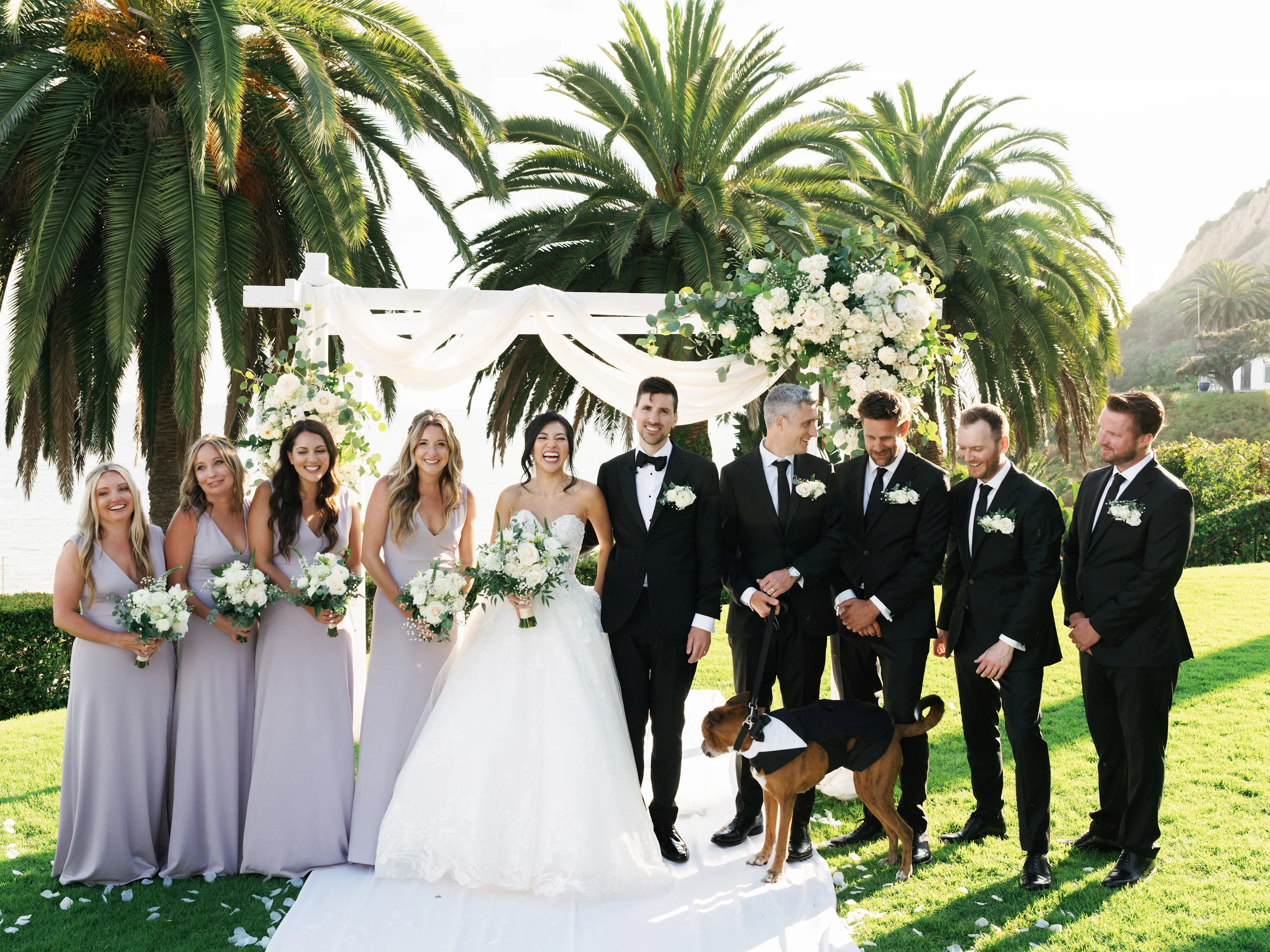 Howard & Lisa — Wedding