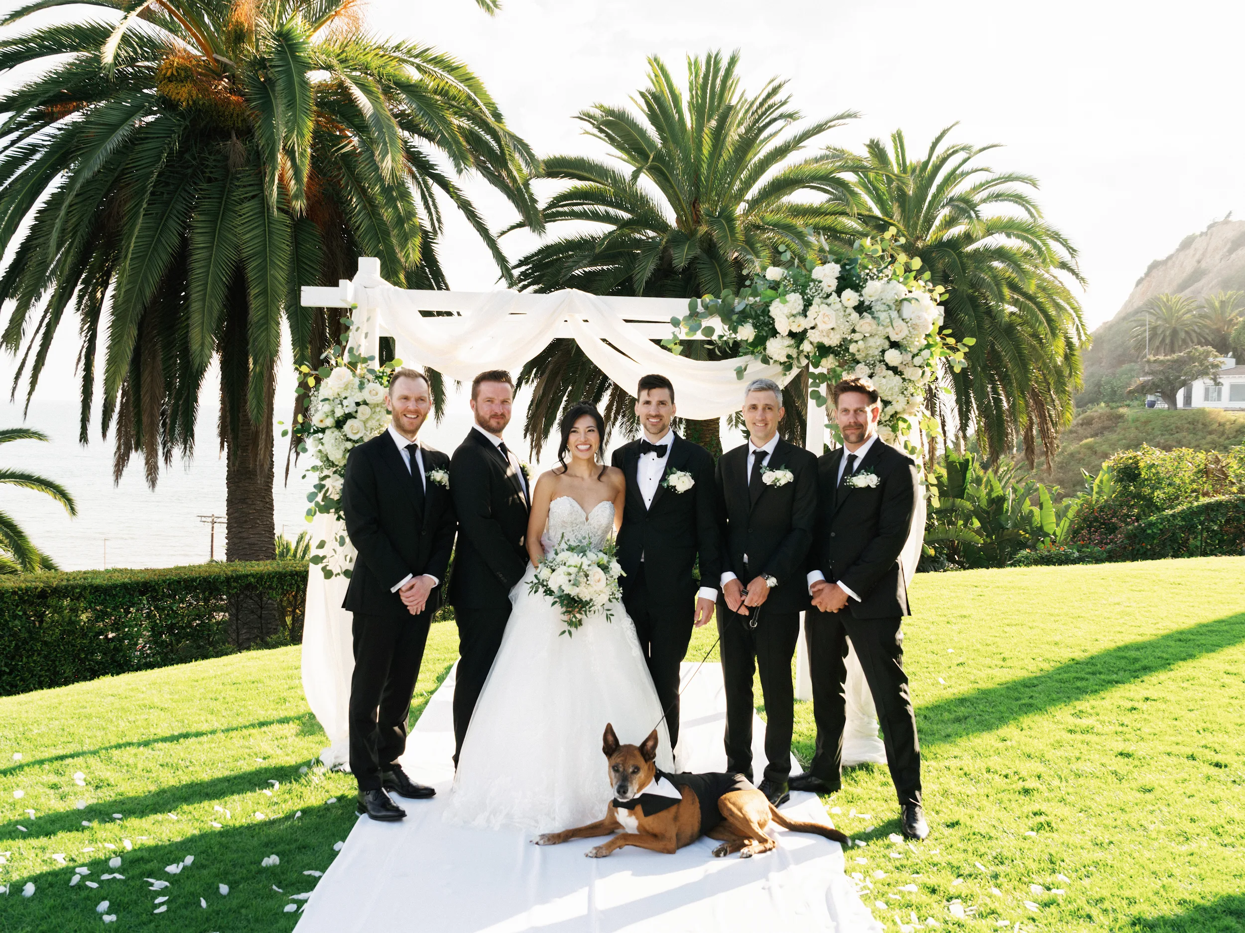 Howard & Lisa — Wedding