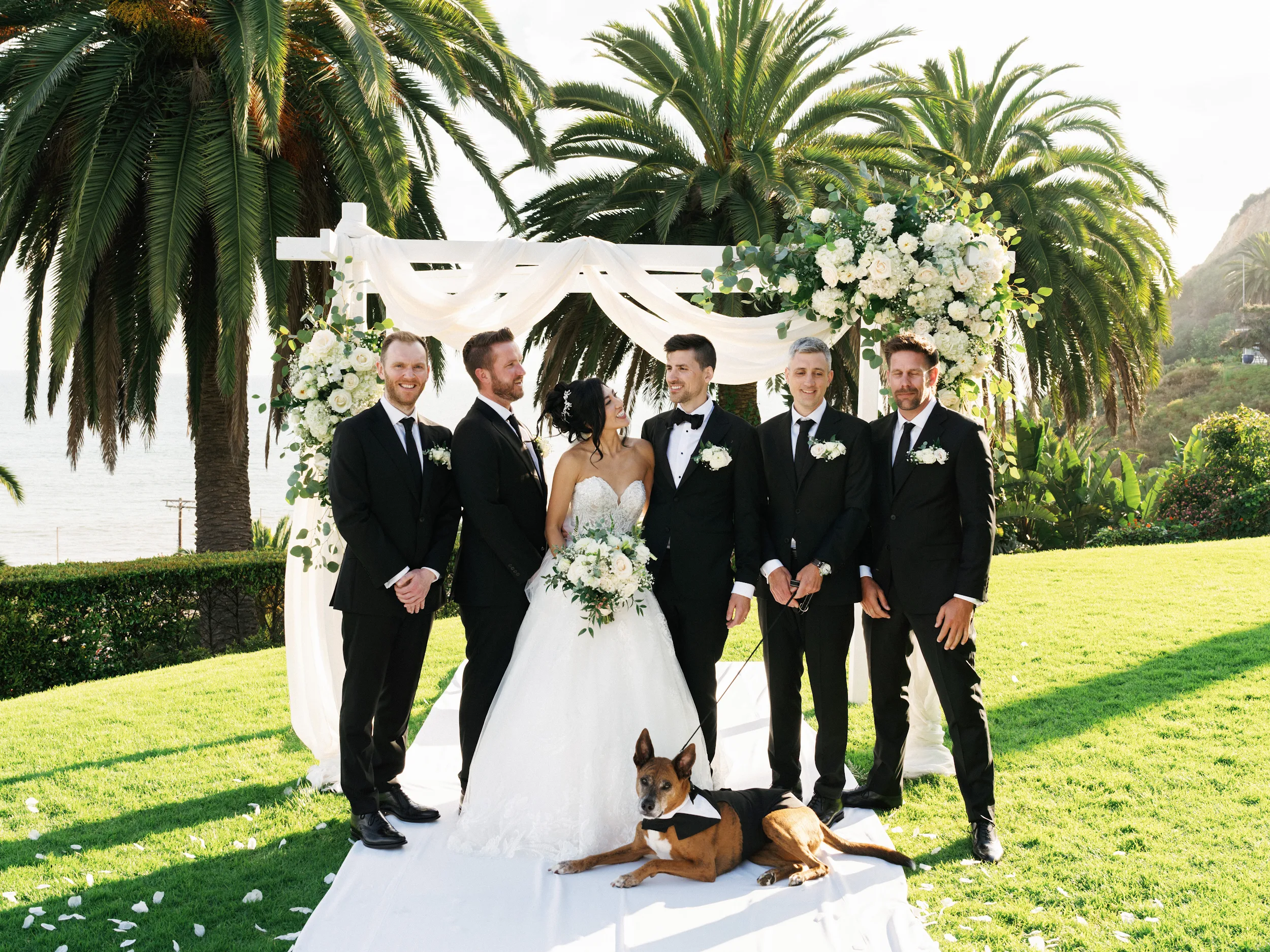 Howard & Lisa — Wedding