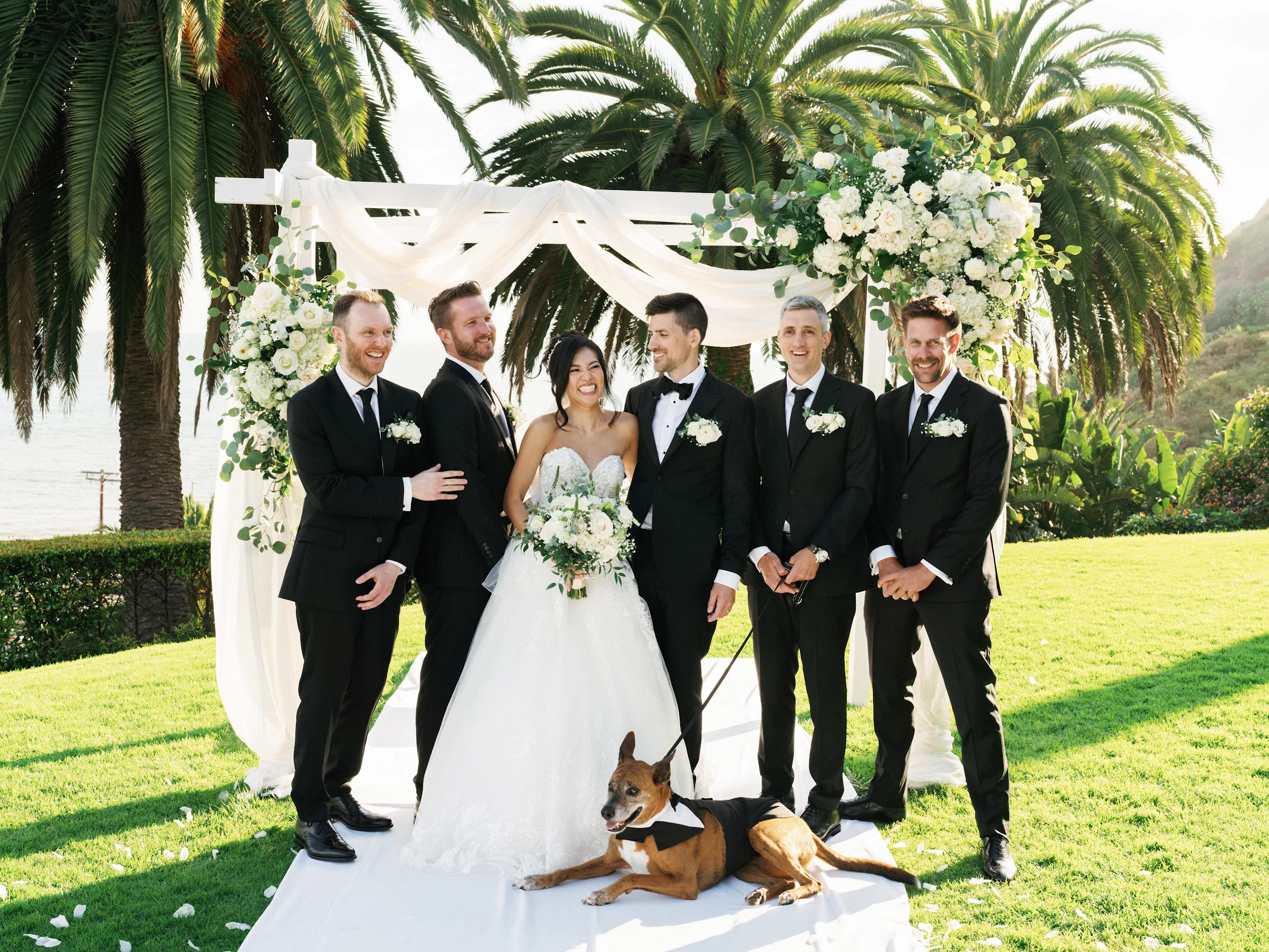 Howard & Lisa — Wedding