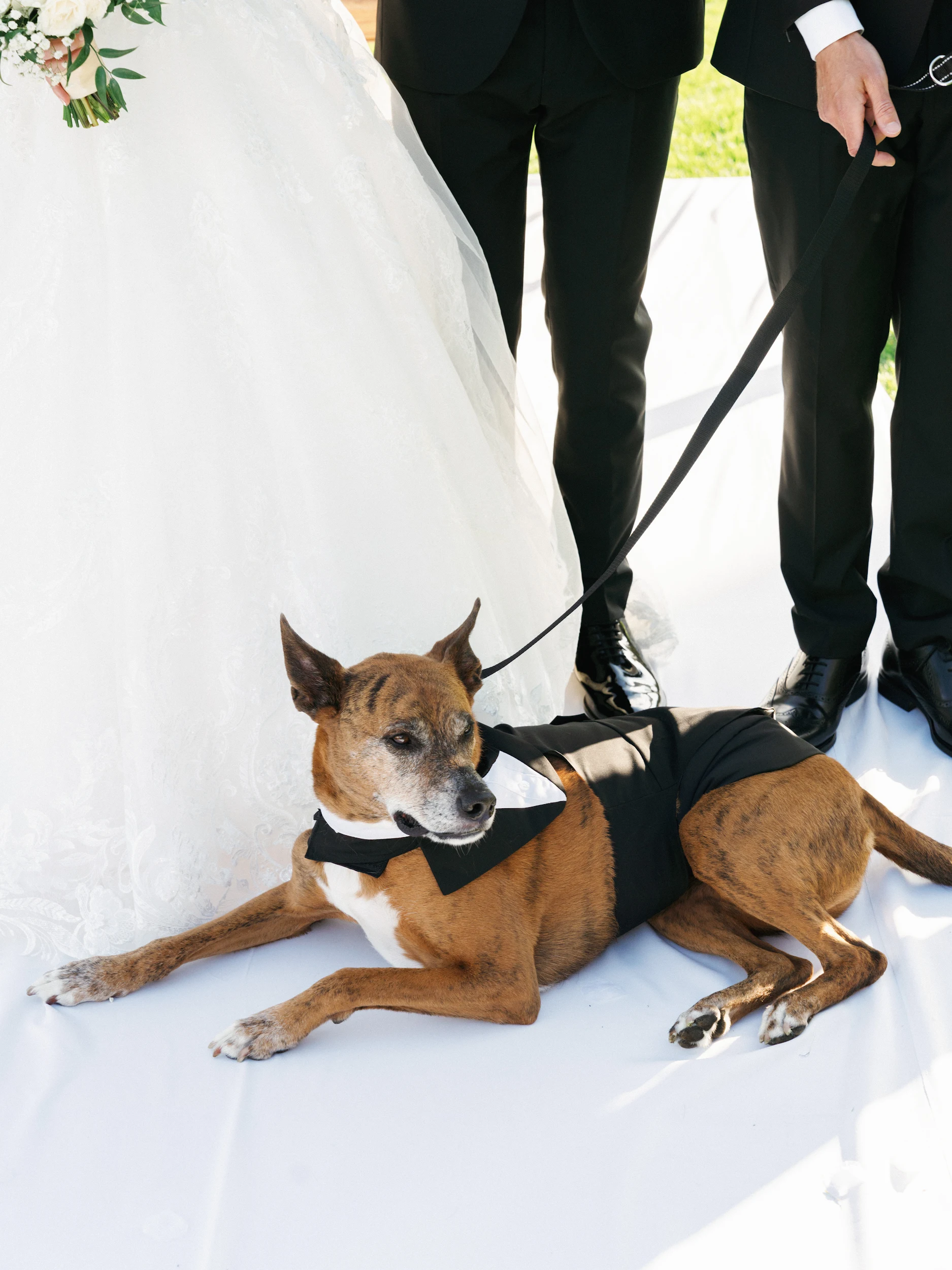 Howard & Lisa — Wedding