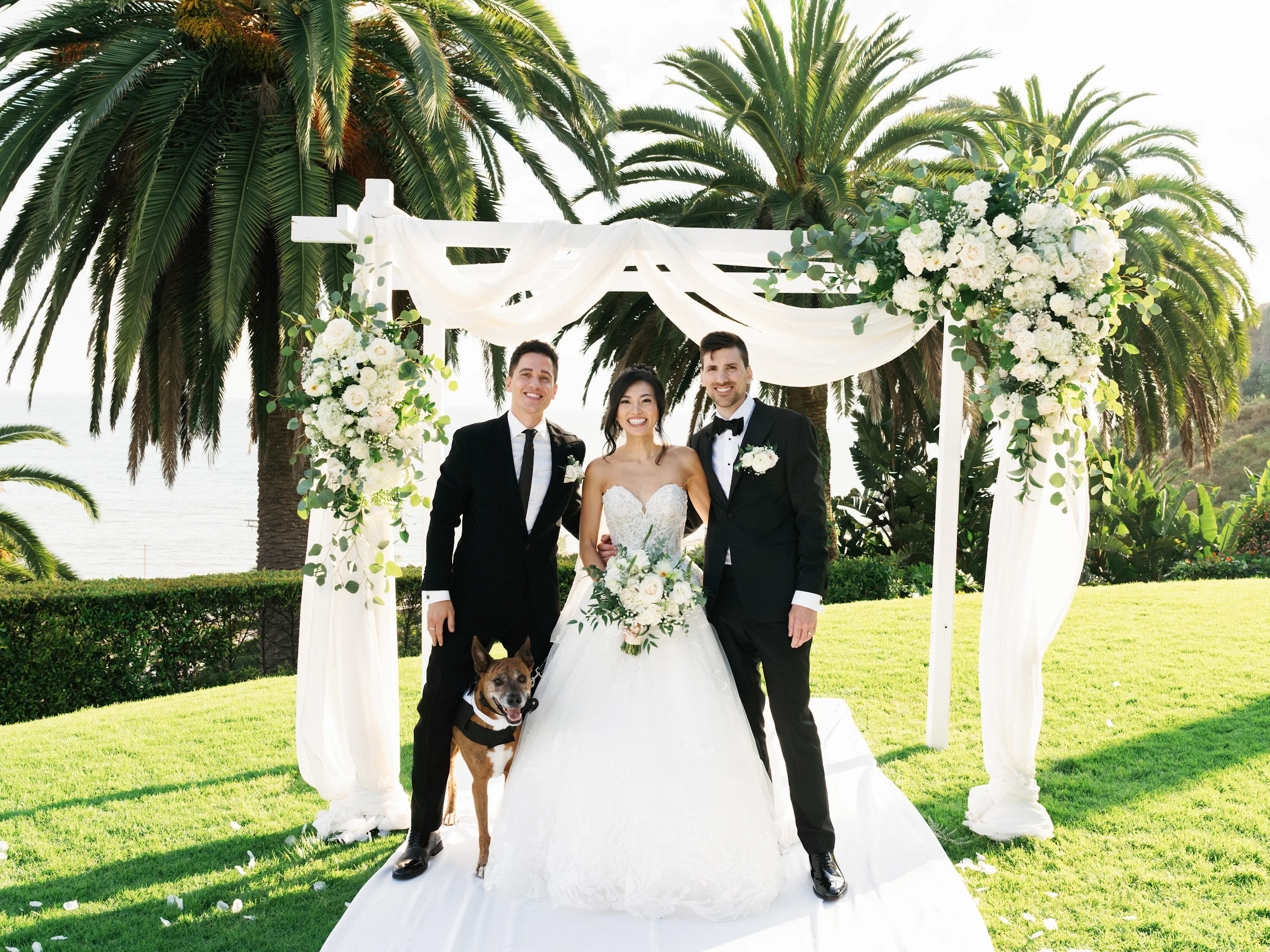 Howard & Lisa — Wedding