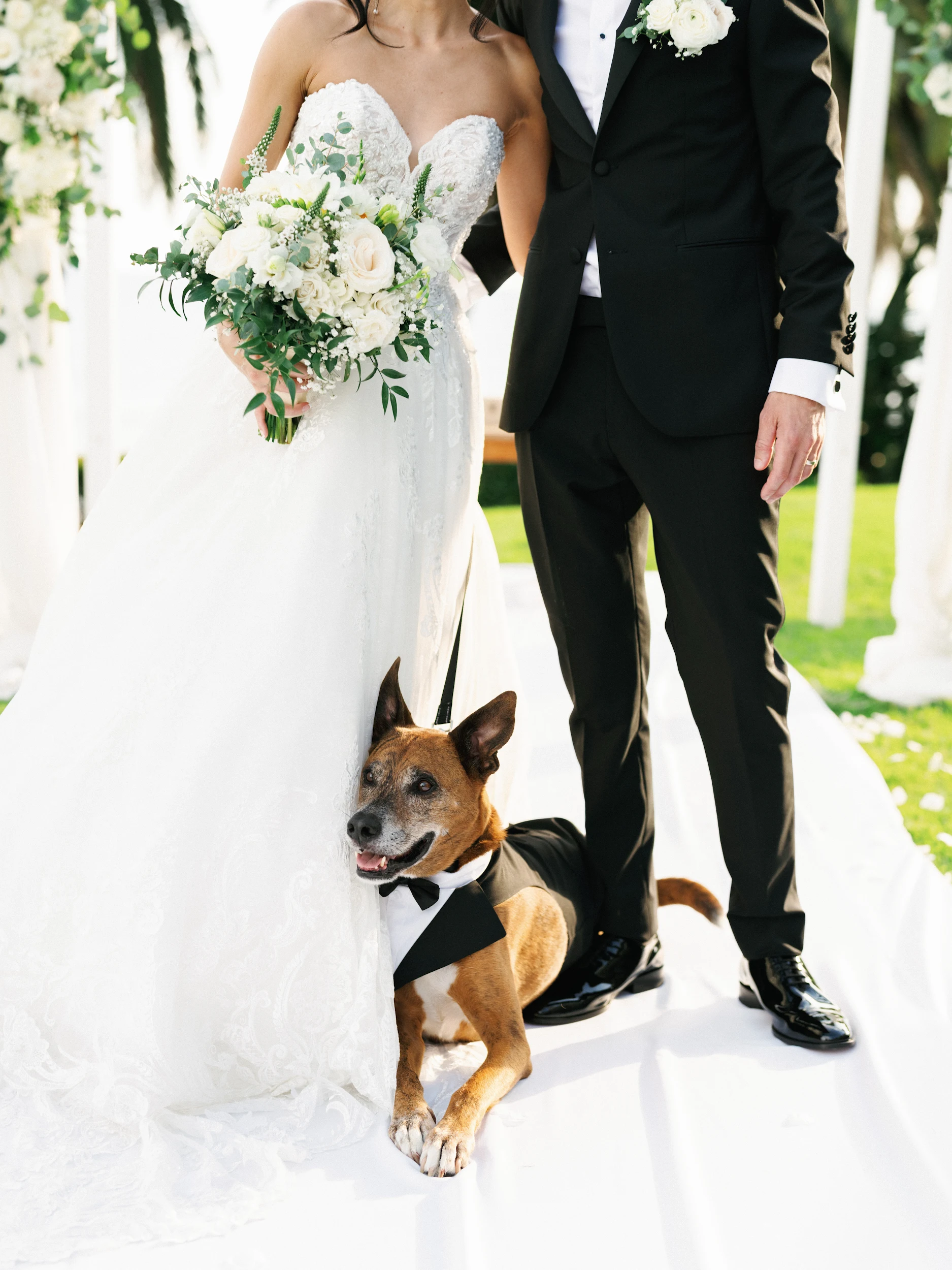 Howard & Lisa — Wedding