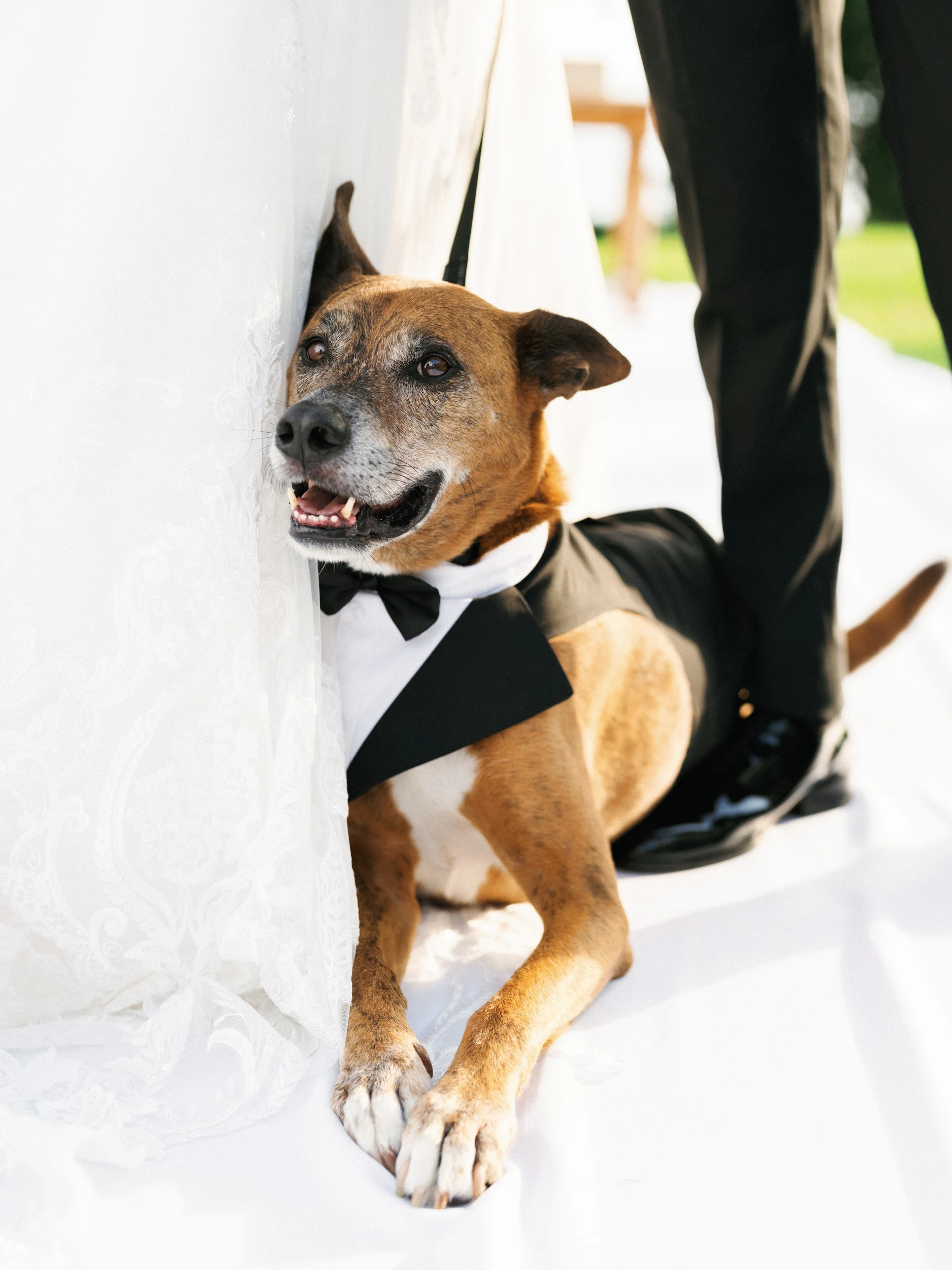 Howard & Lisa — Wedding