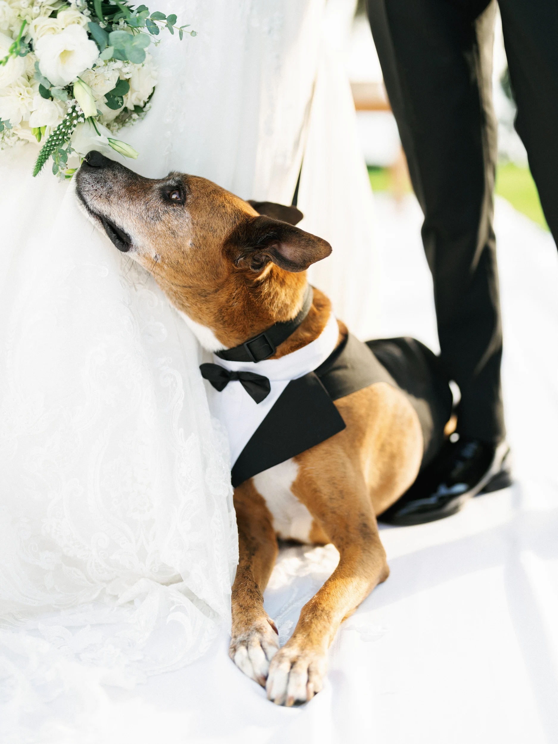 Howard & Lisa — Wedding