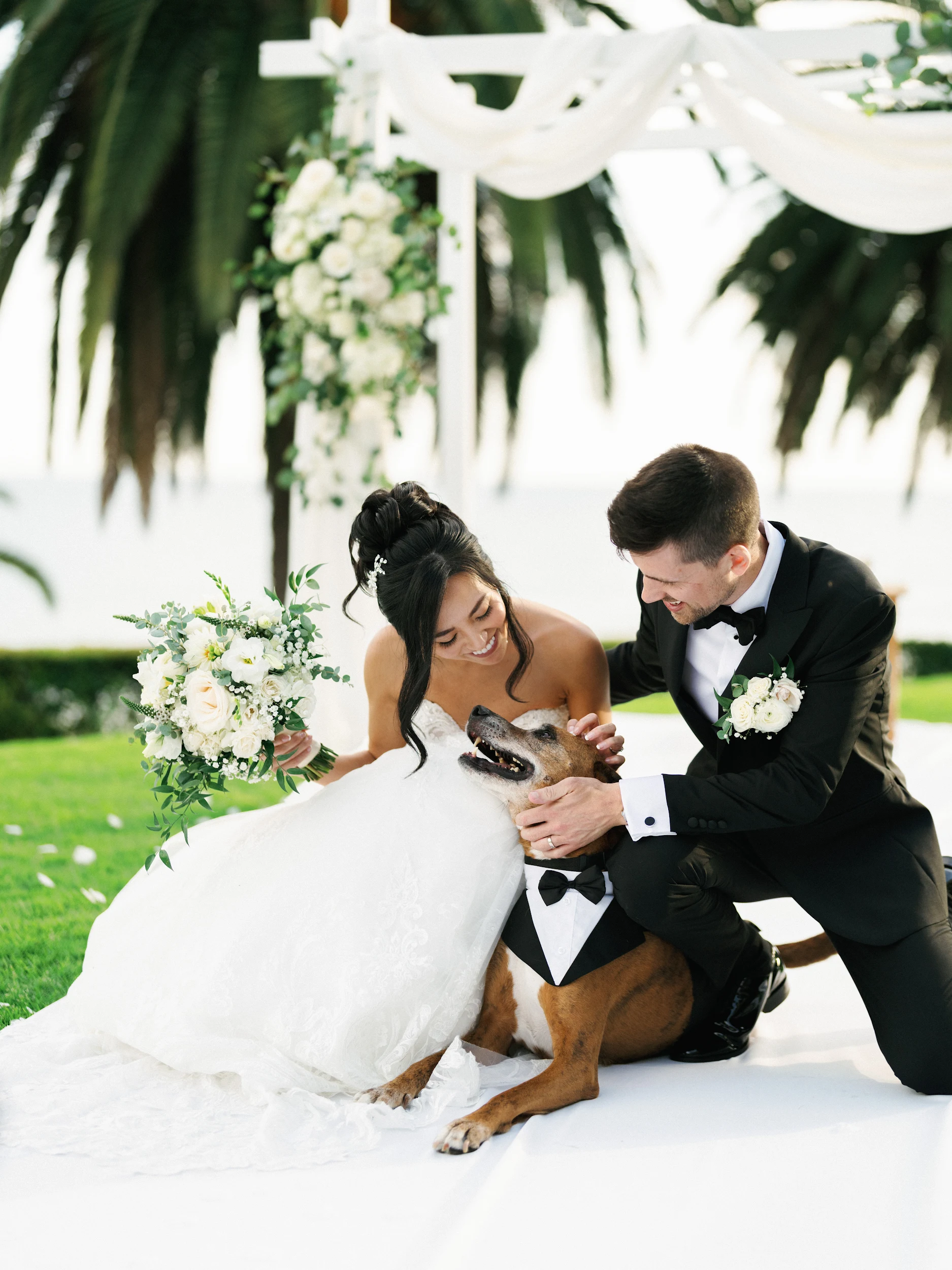 Howard & Lisa — Wedding
