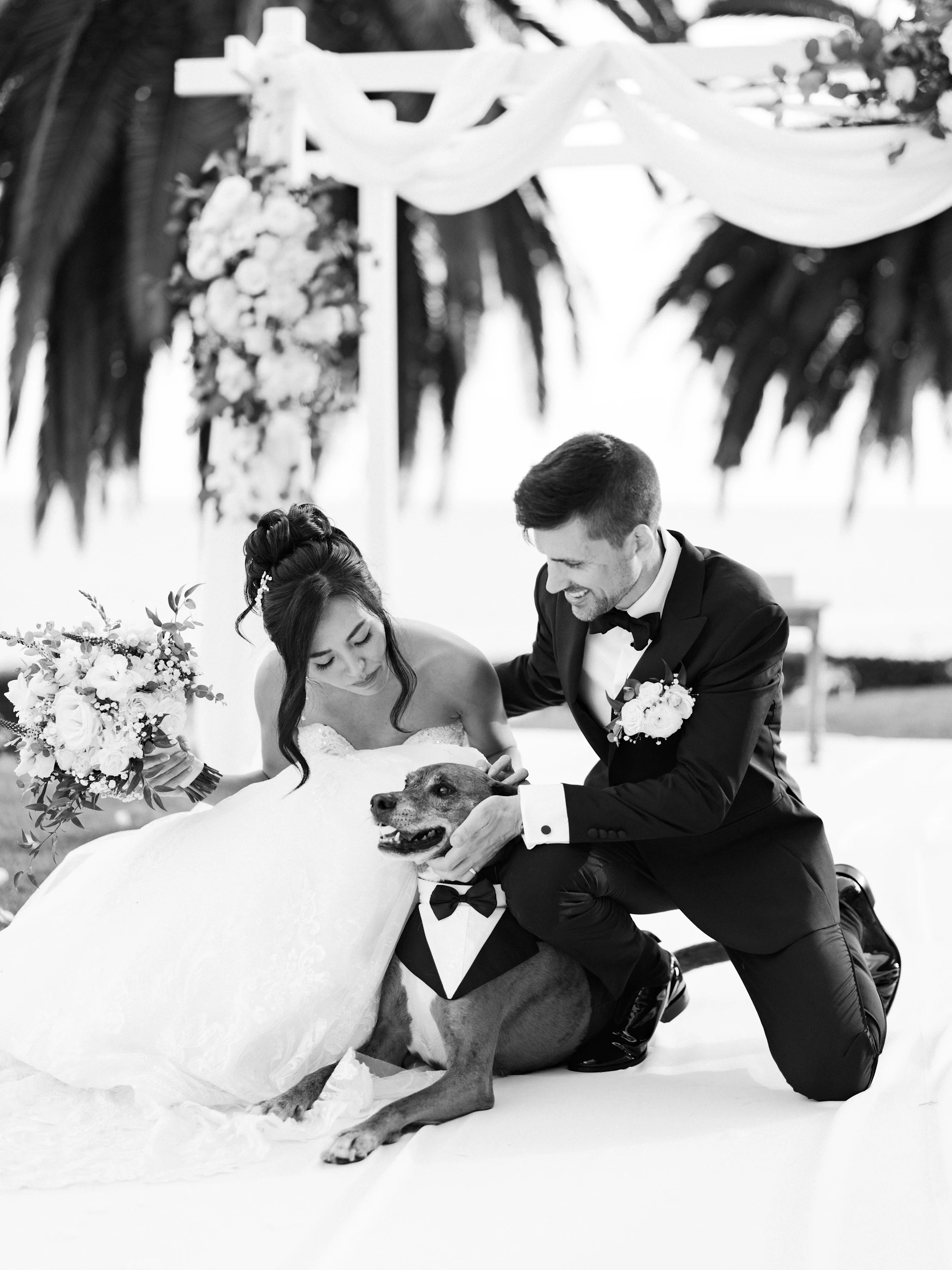 Howard & Lisa — Wedding
