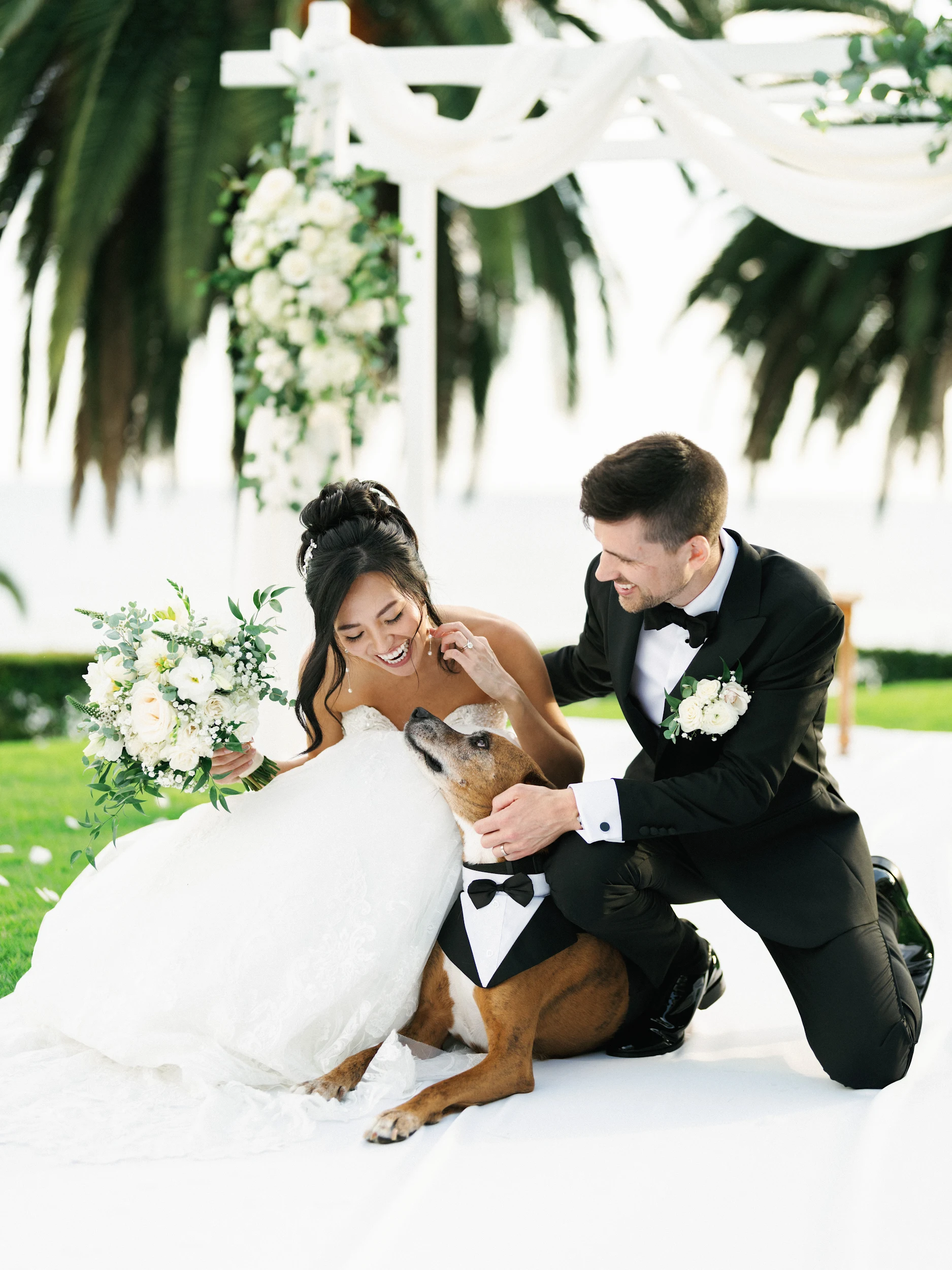 Howard & Lisa — Wedding
