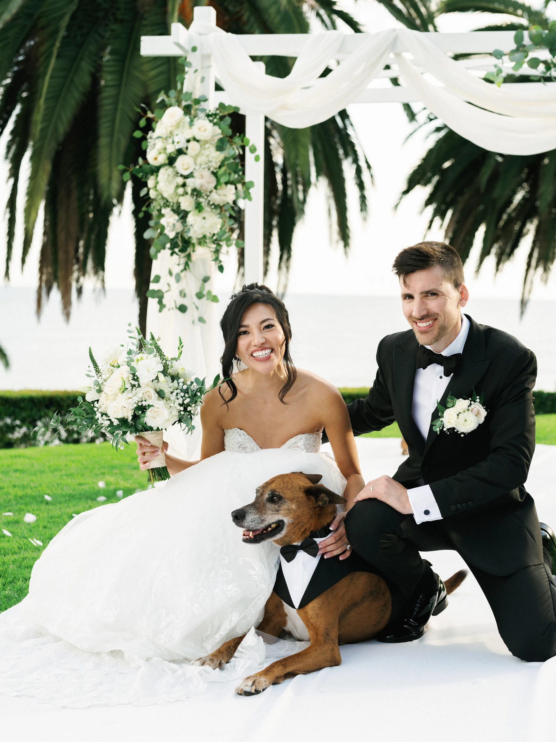 Howard & Lisa — Wedding