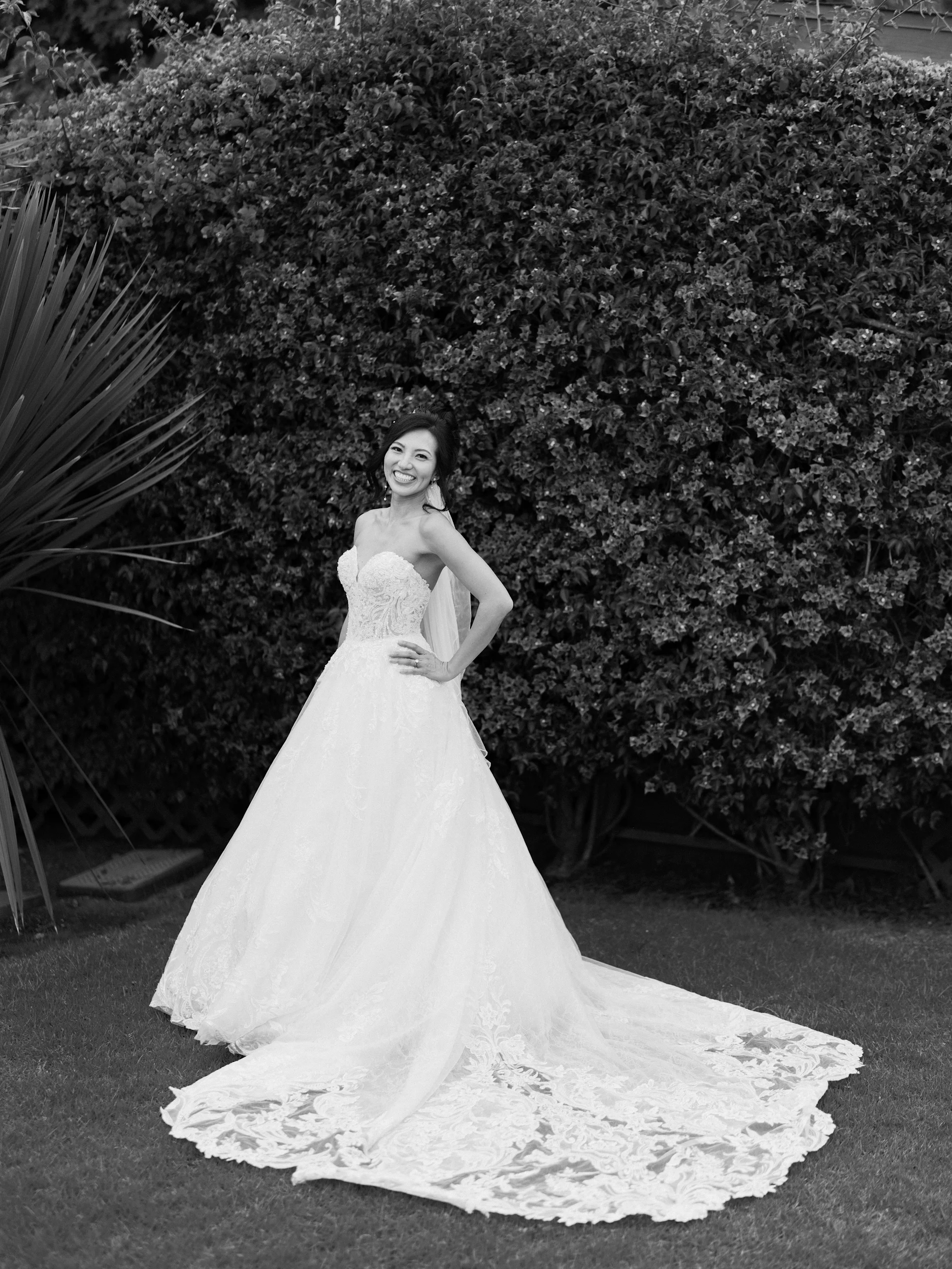 Howard & Lisa — Wedding