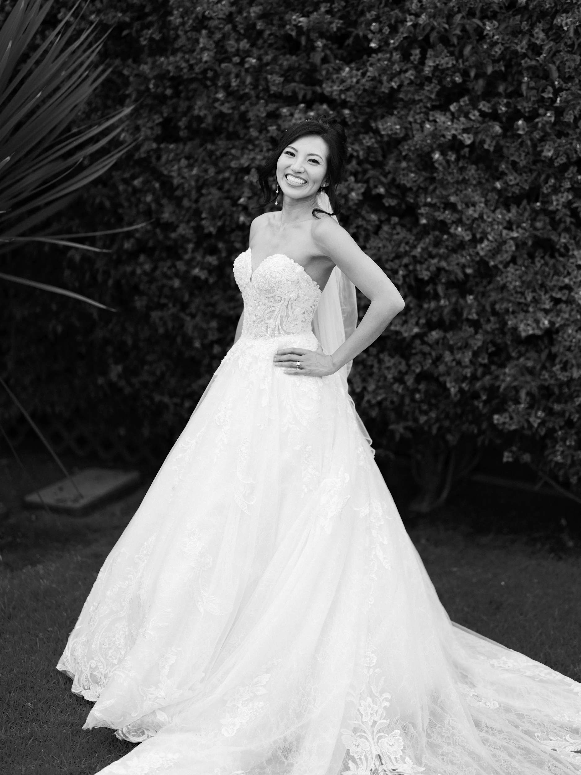 Howard & Lisa — Wedding
