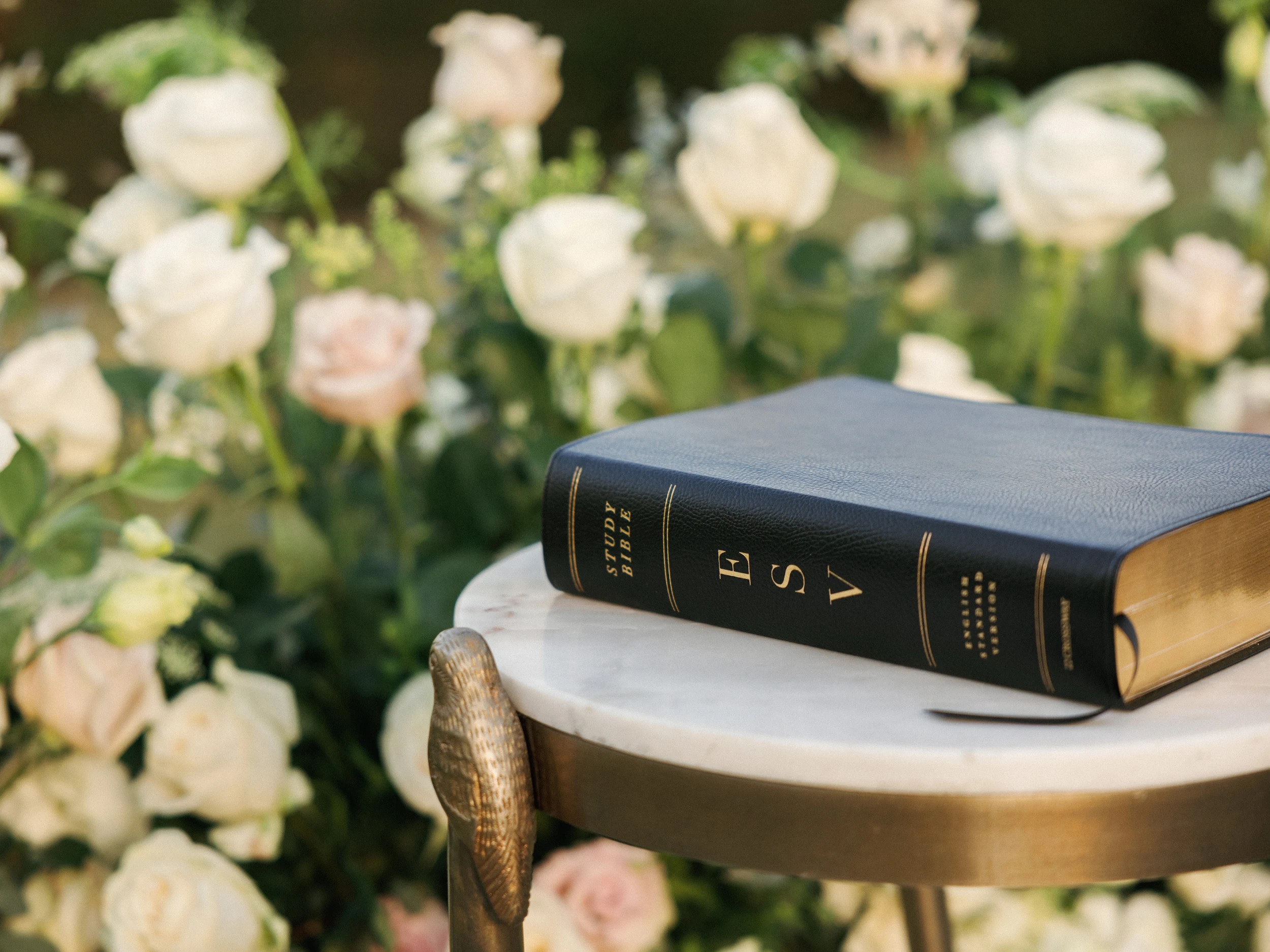 Kat & Nelson — Wedding