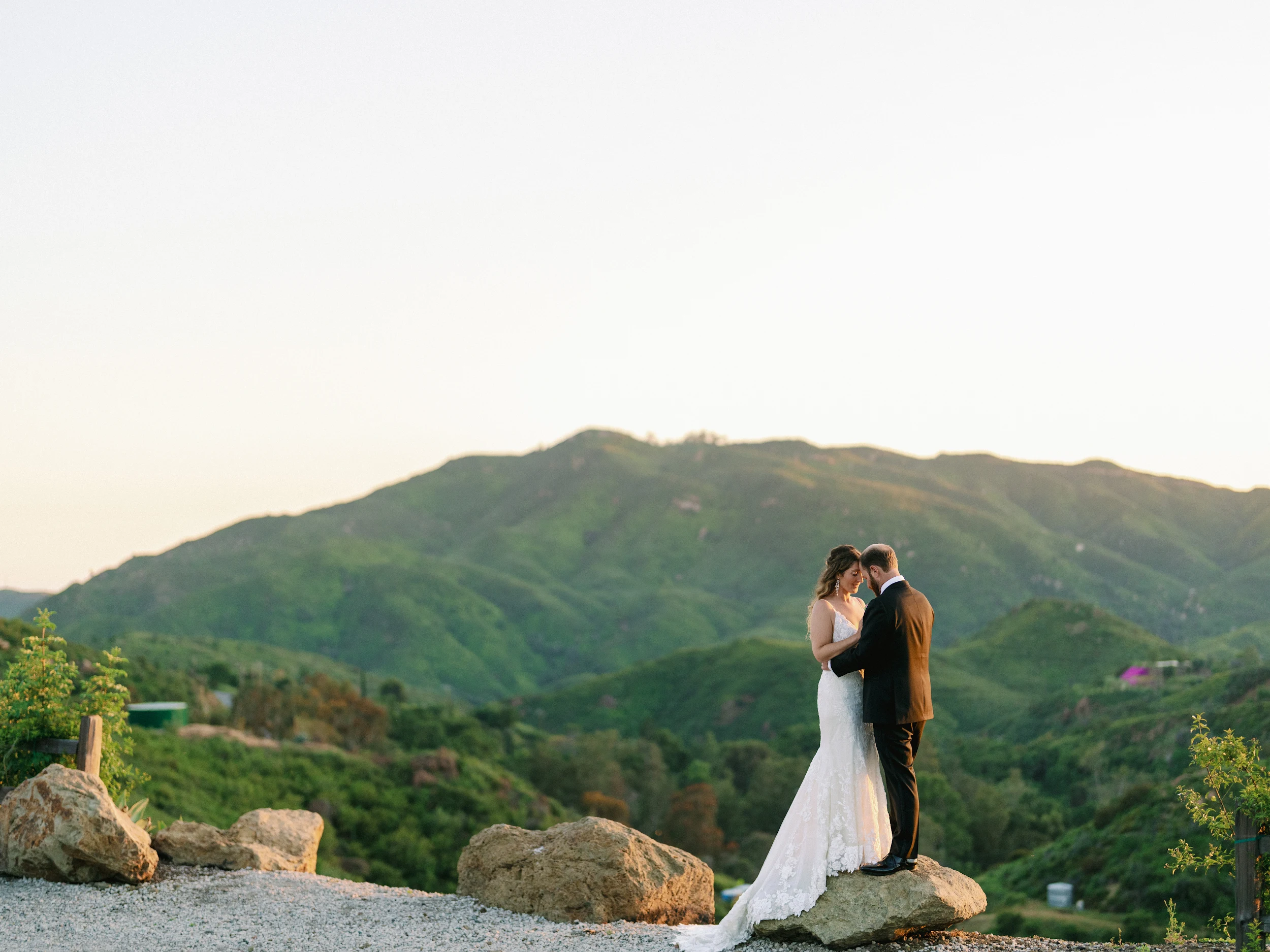 Nicole & Brandon — Wedding