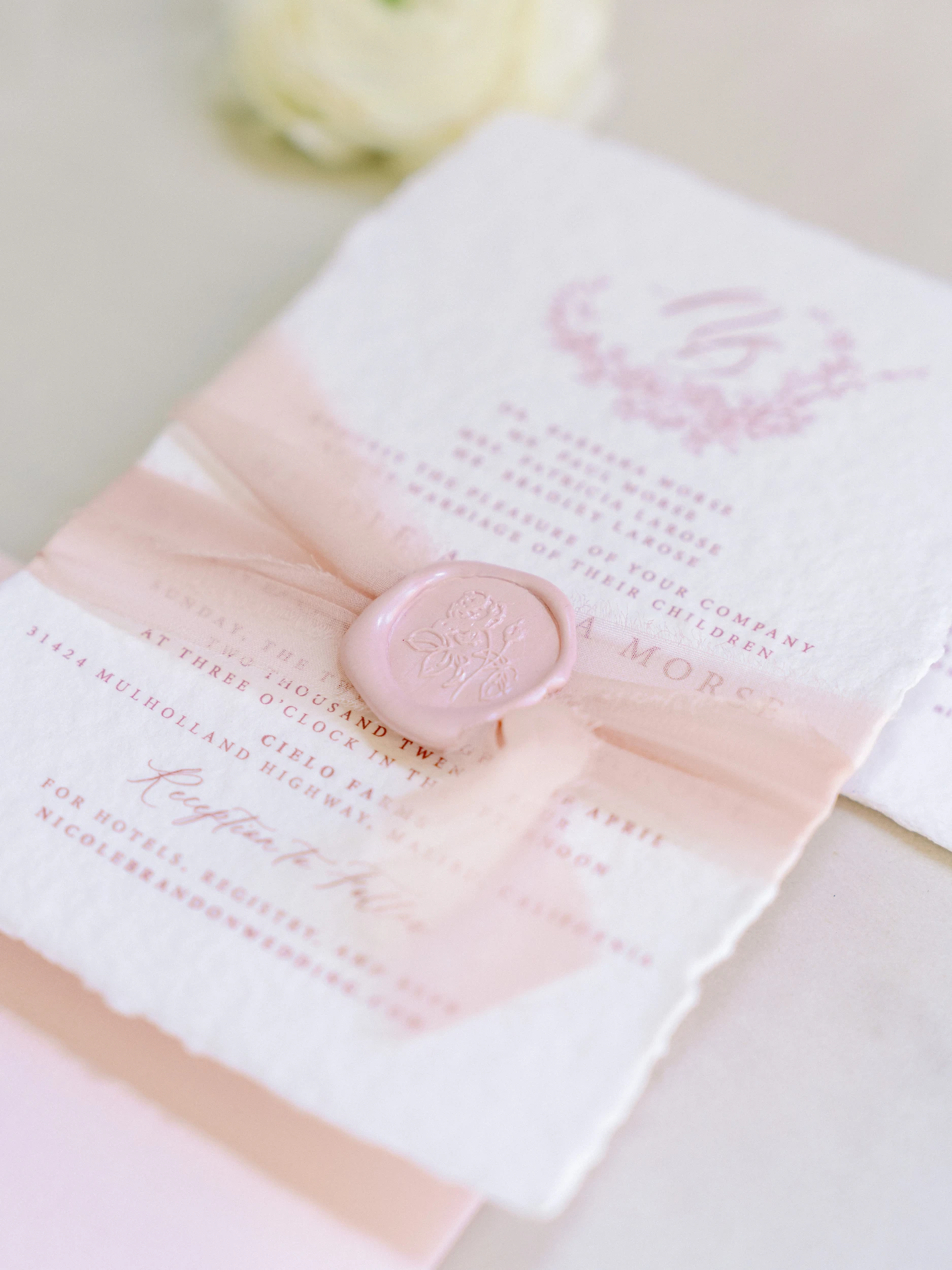 Nicole & Brandon — Wedding