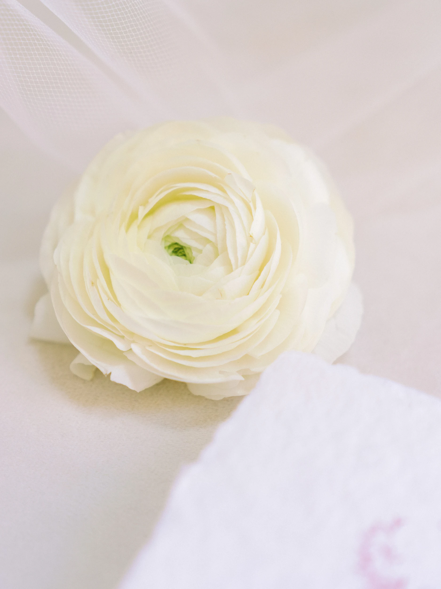 Nicole & Brandon — Wedding