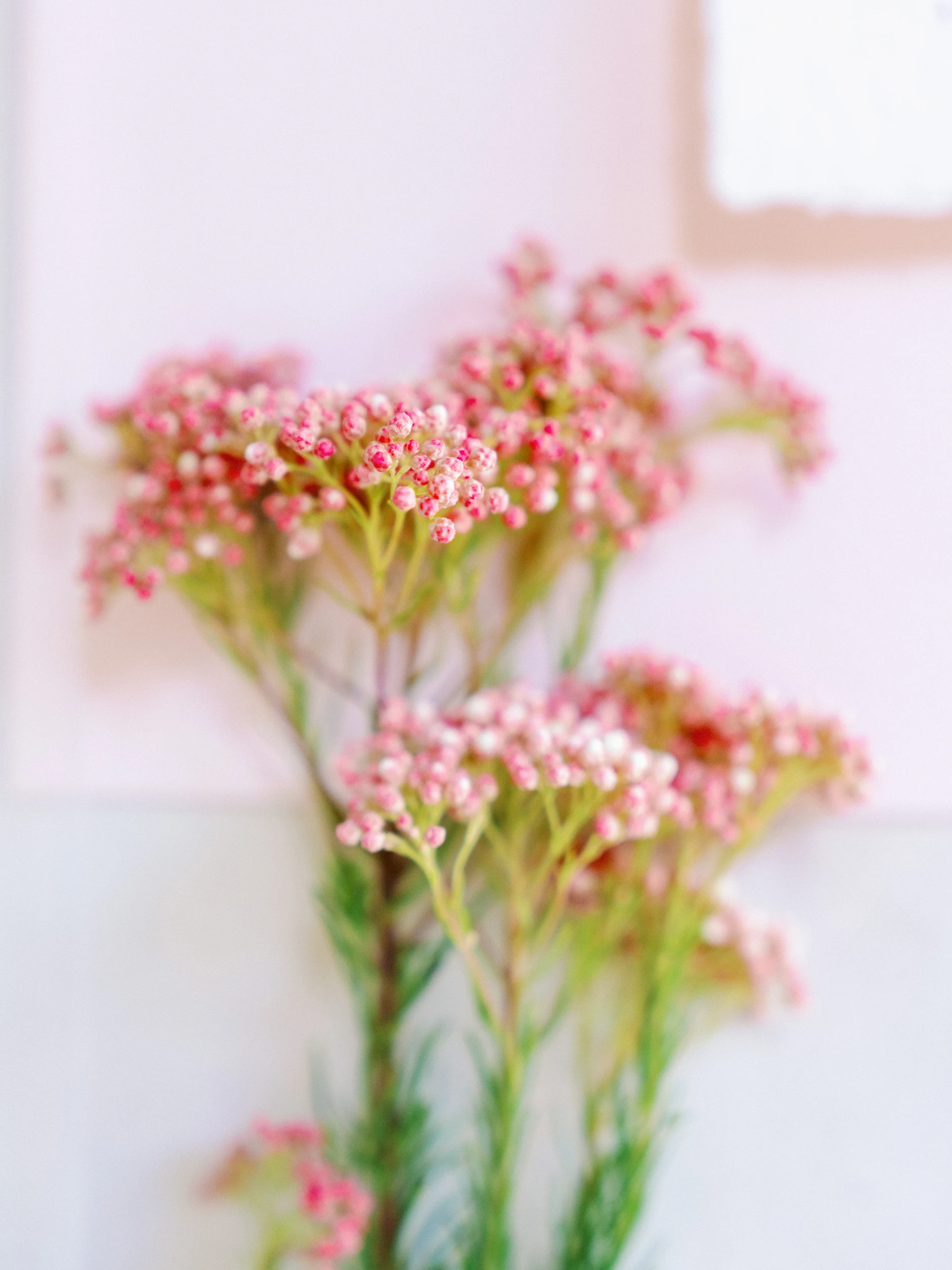 Nicole & Brandon — Wedding