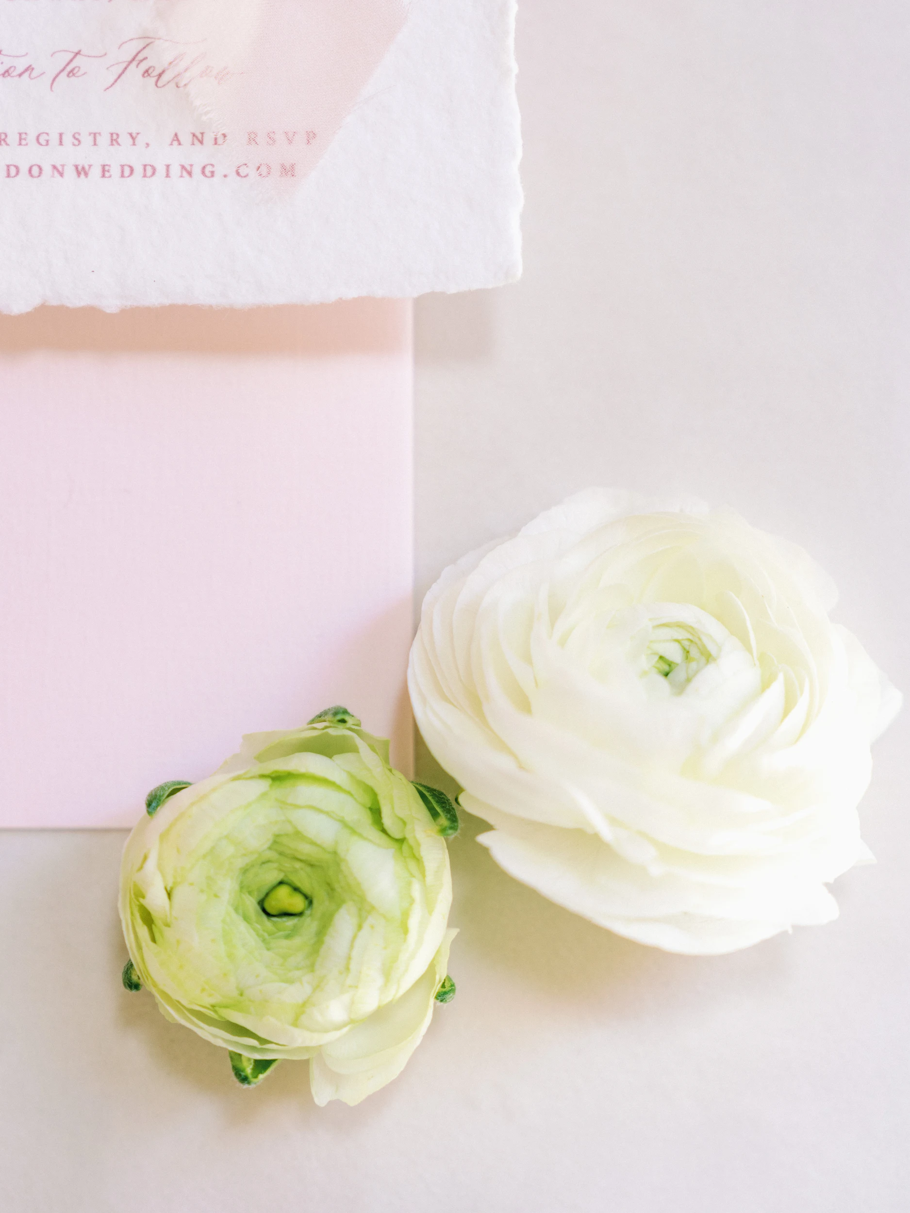 Nicole & Brandon — Wedding