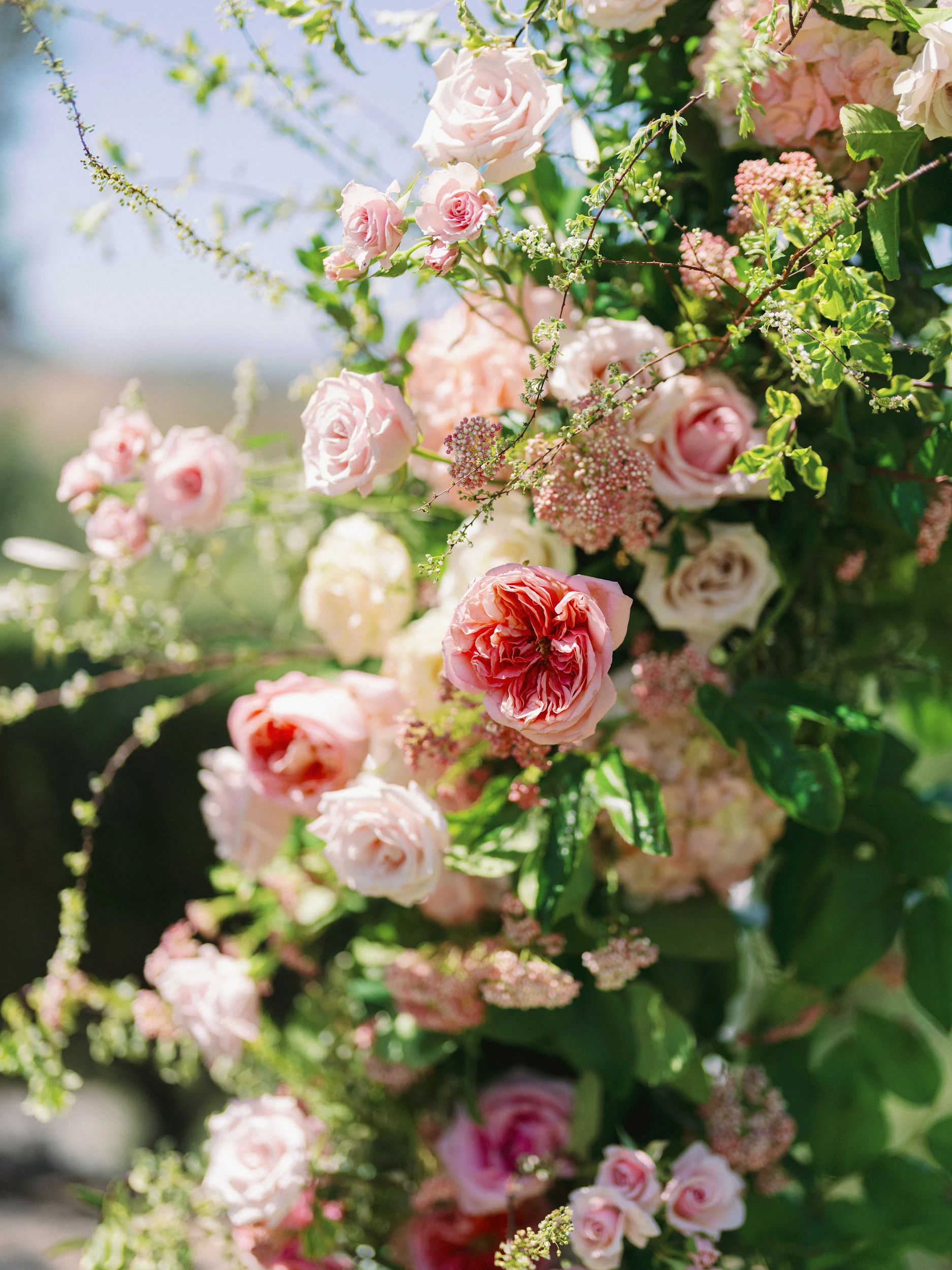 Nicole & Brandon — Wedding