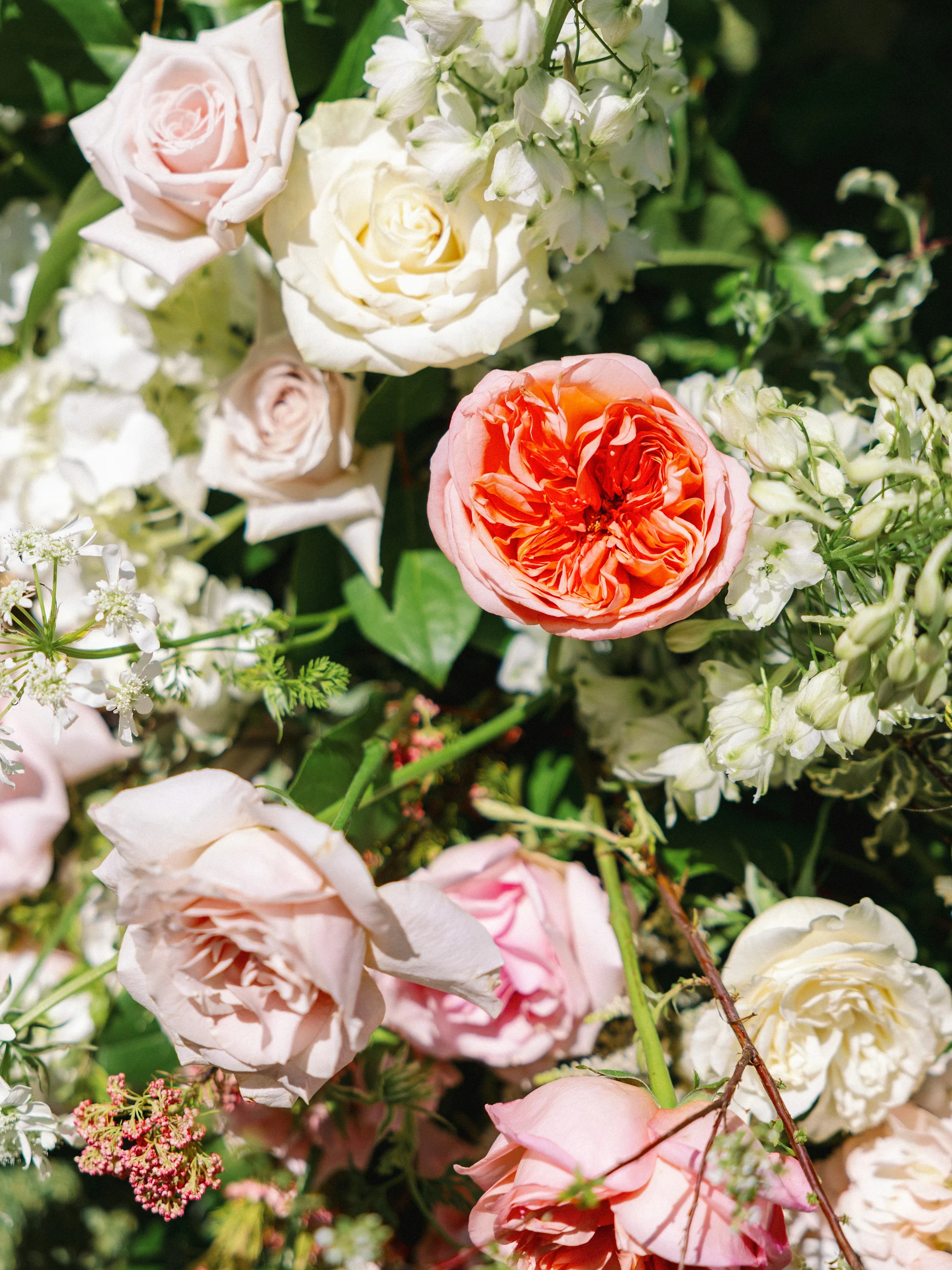Nicole & Brandon — Wedding