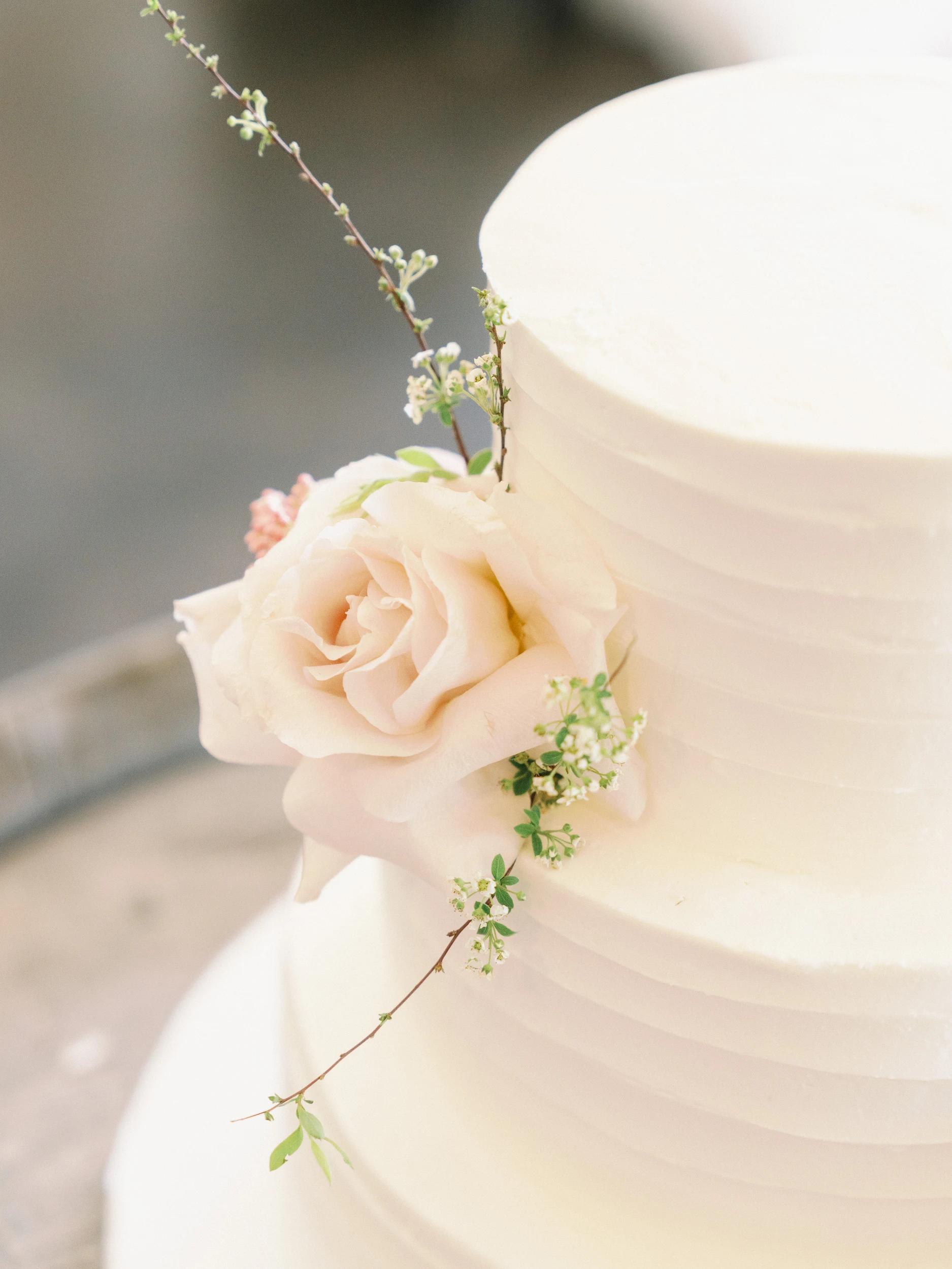 Nicole & Brandon — Wedding