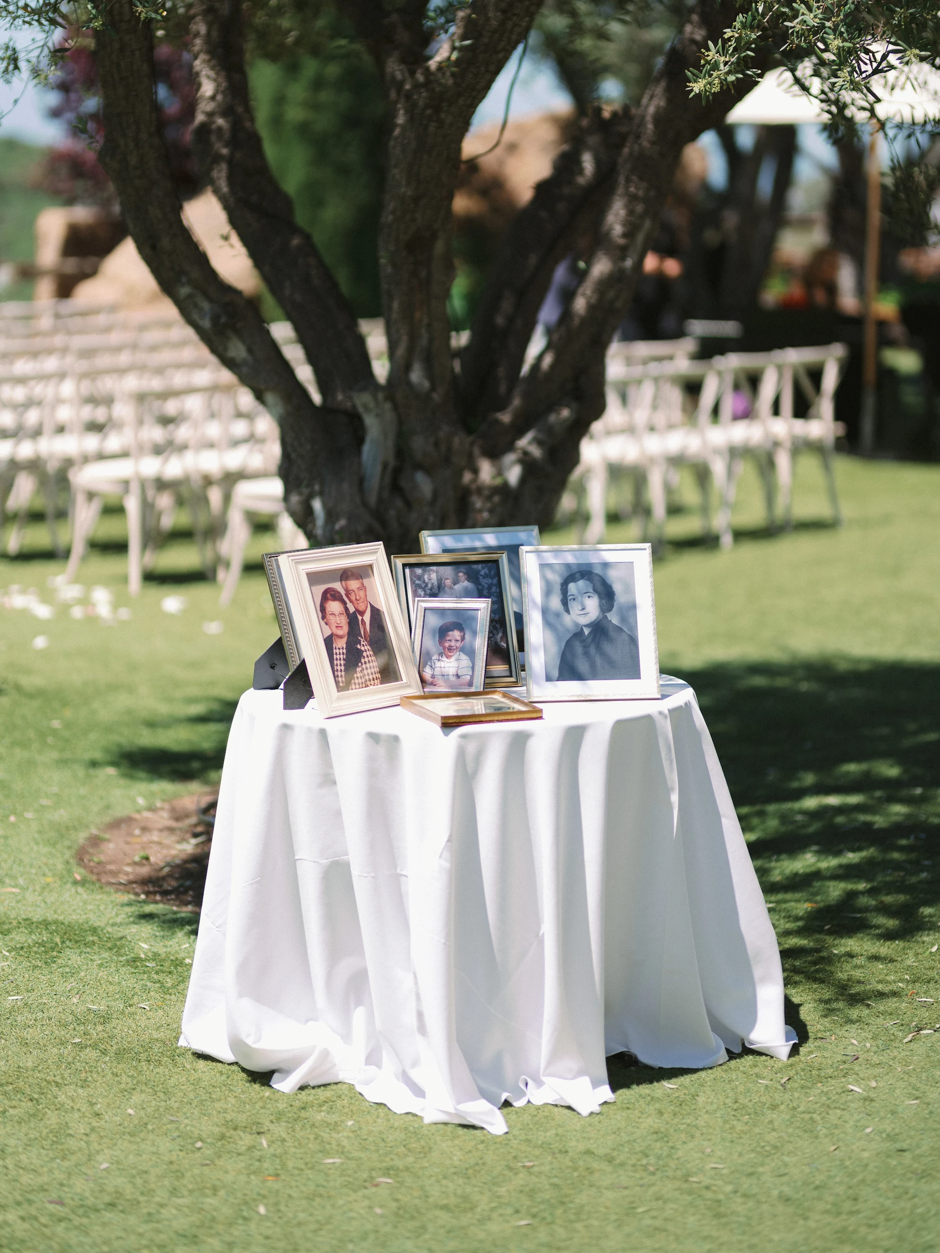 Nicole & Brandon — Wedding