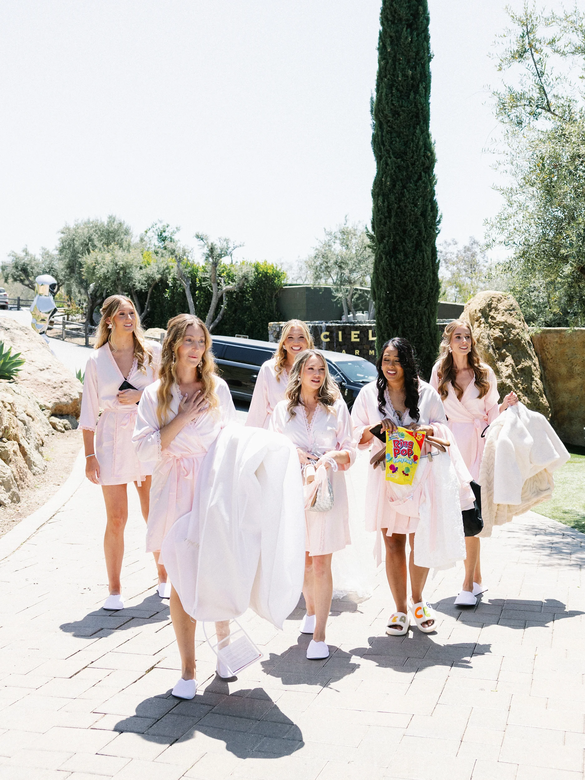 Nicole & Brandon — Wedding