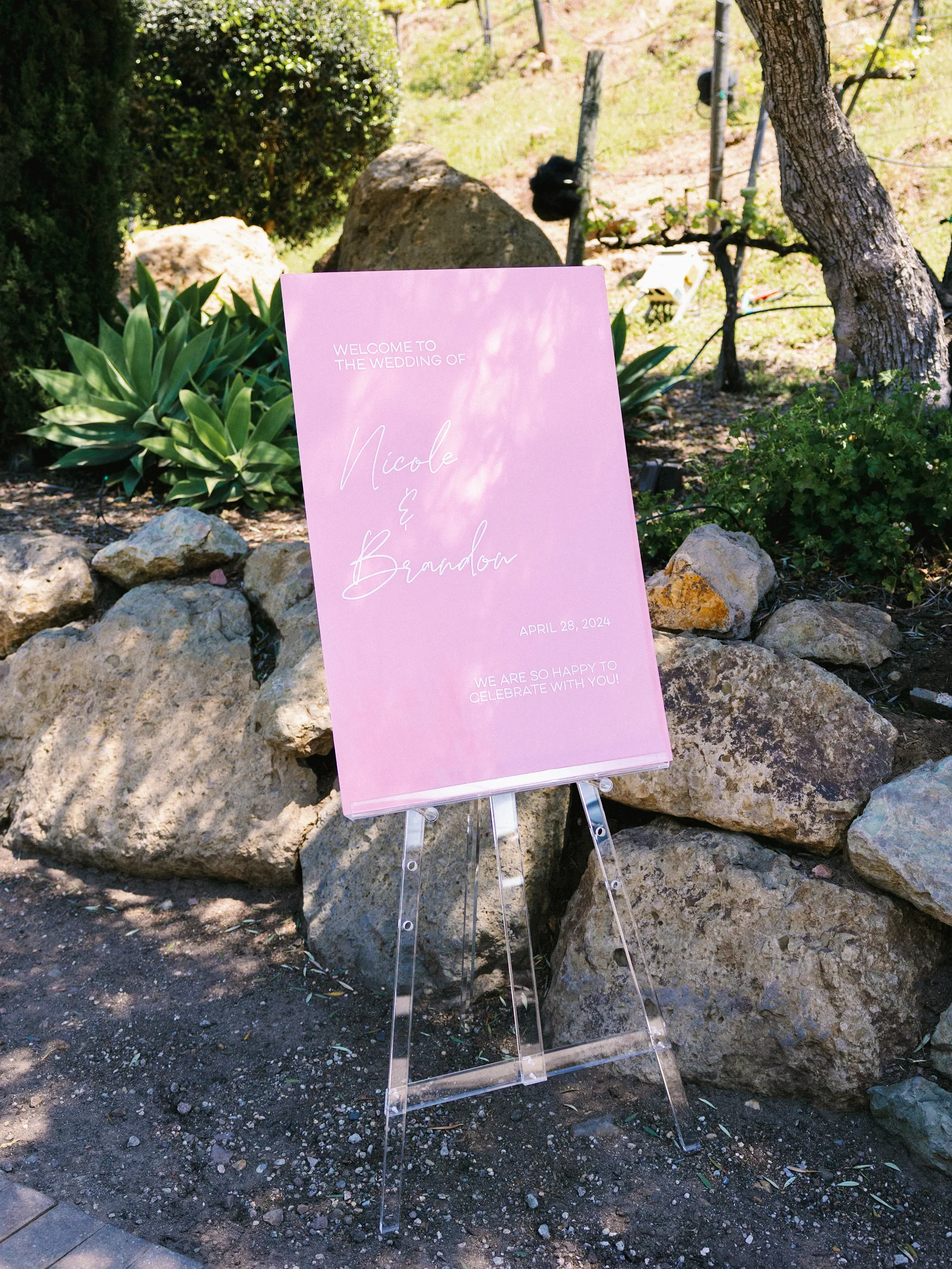 Nicole & Brandon — Wedding