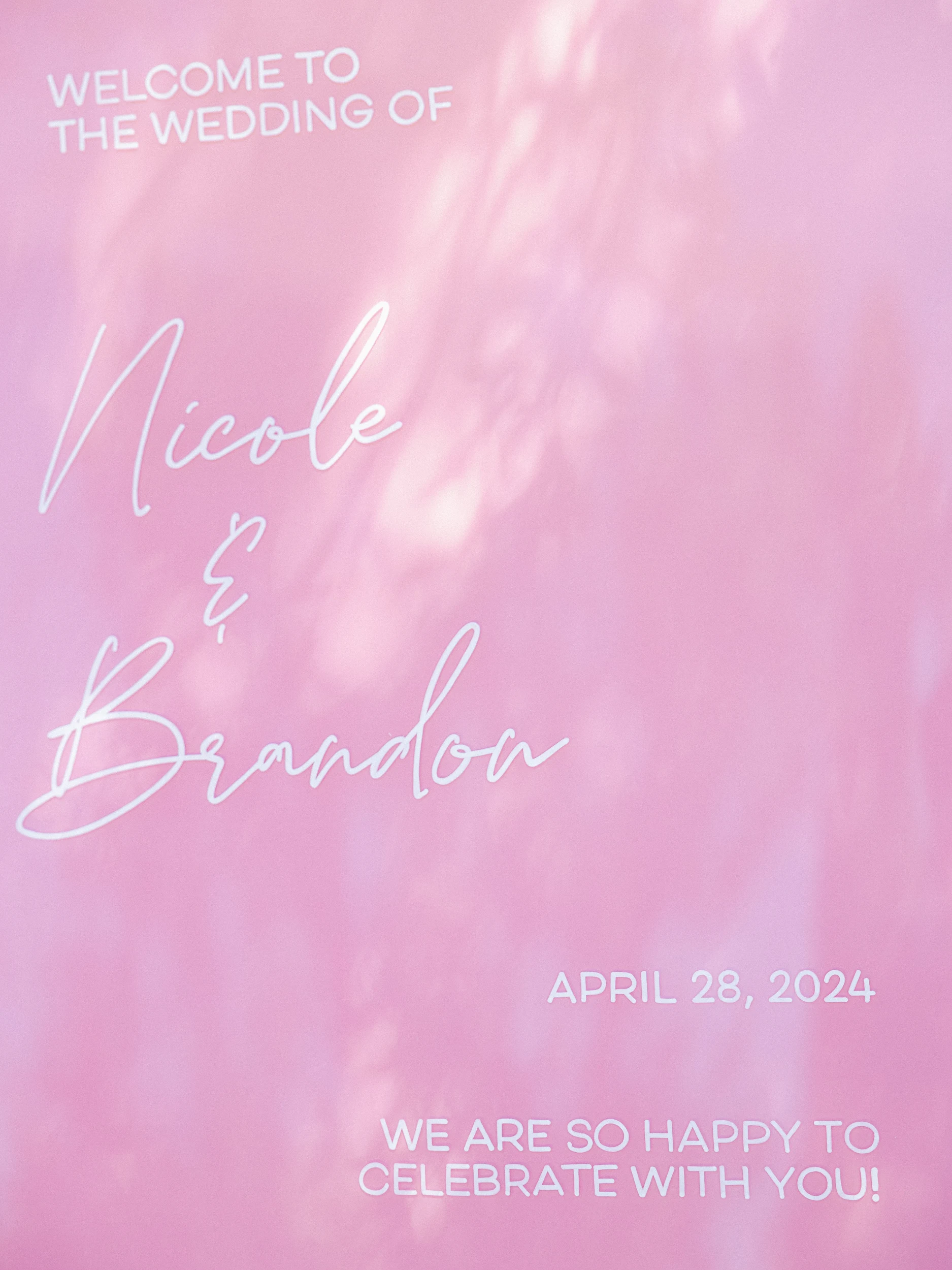 Nicole & Brandon — Wedding