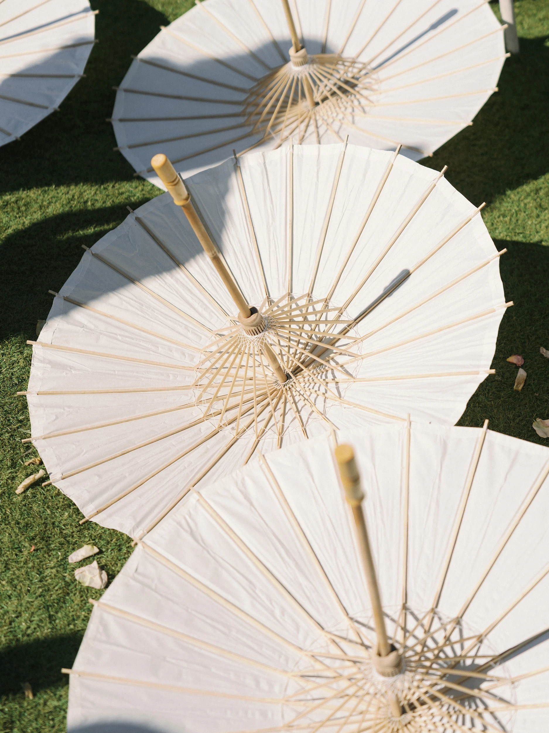 Nicole & Brandon — Wedding