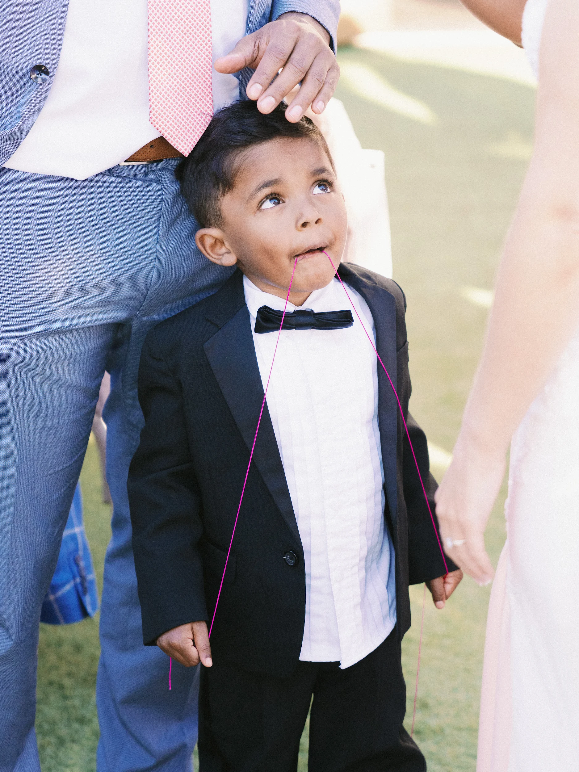 Nicole & Brandon — Wedding
