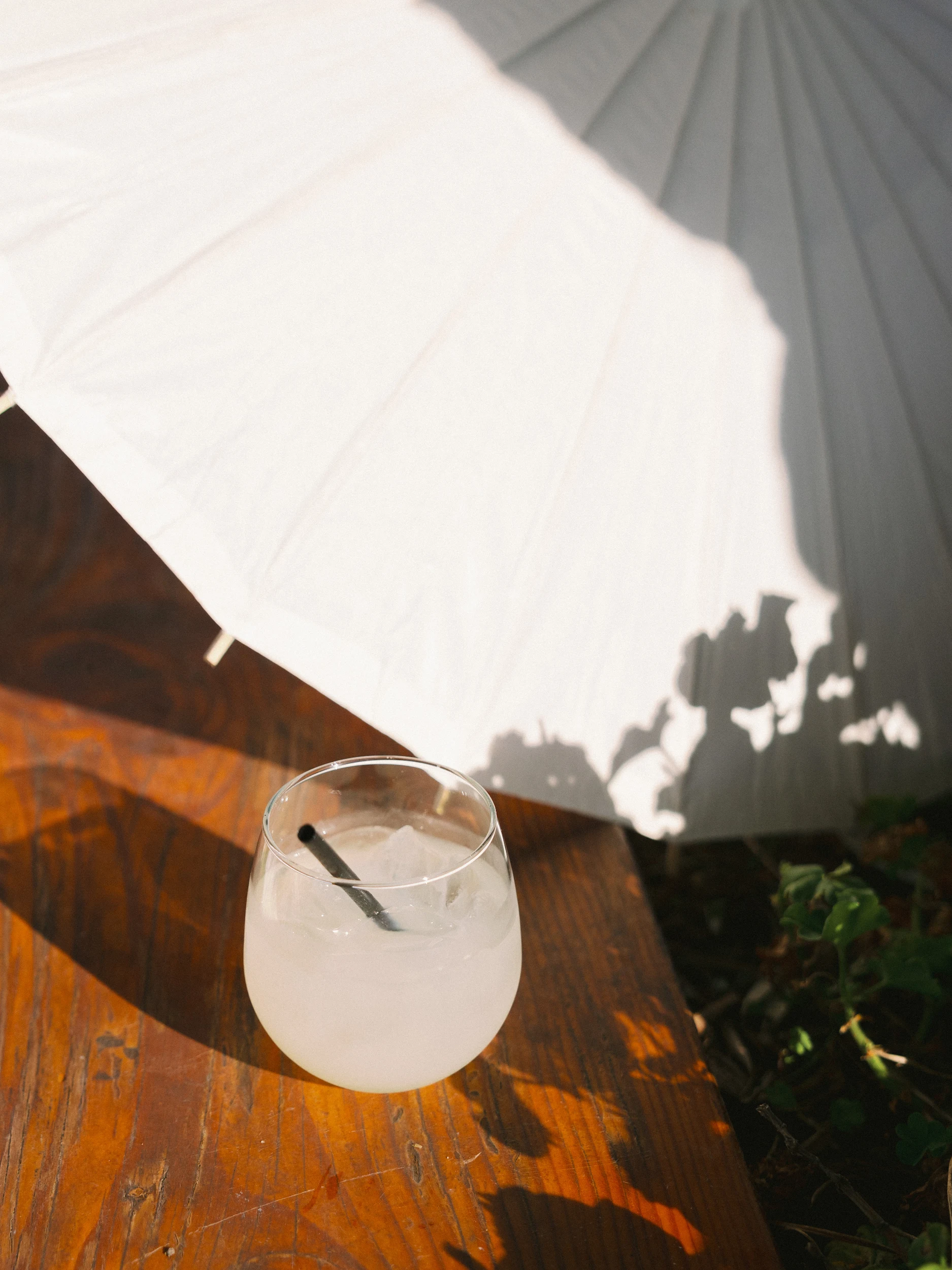 Nicole & Brandon — Wedding