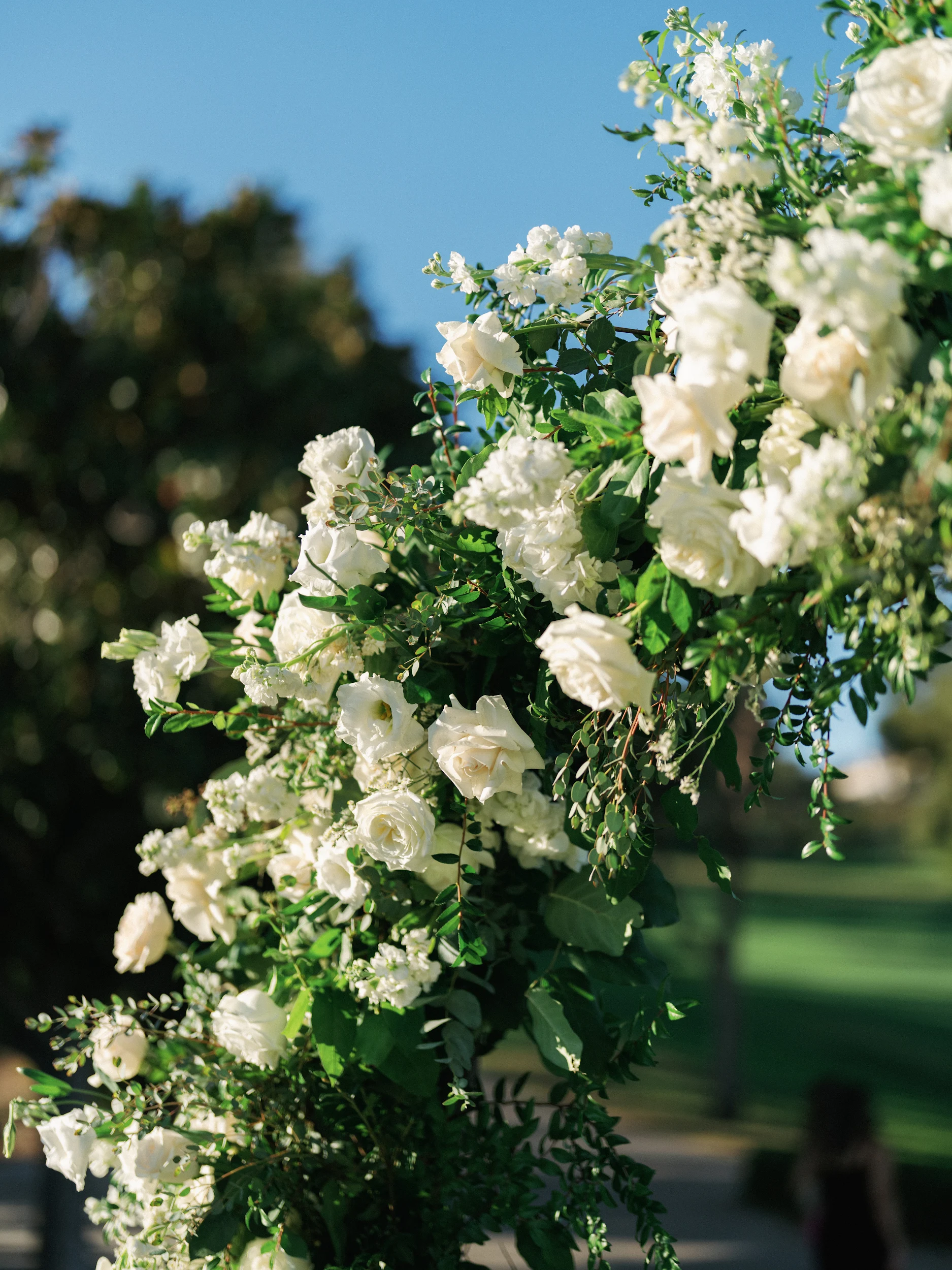 Taban & Isaac — Wedding