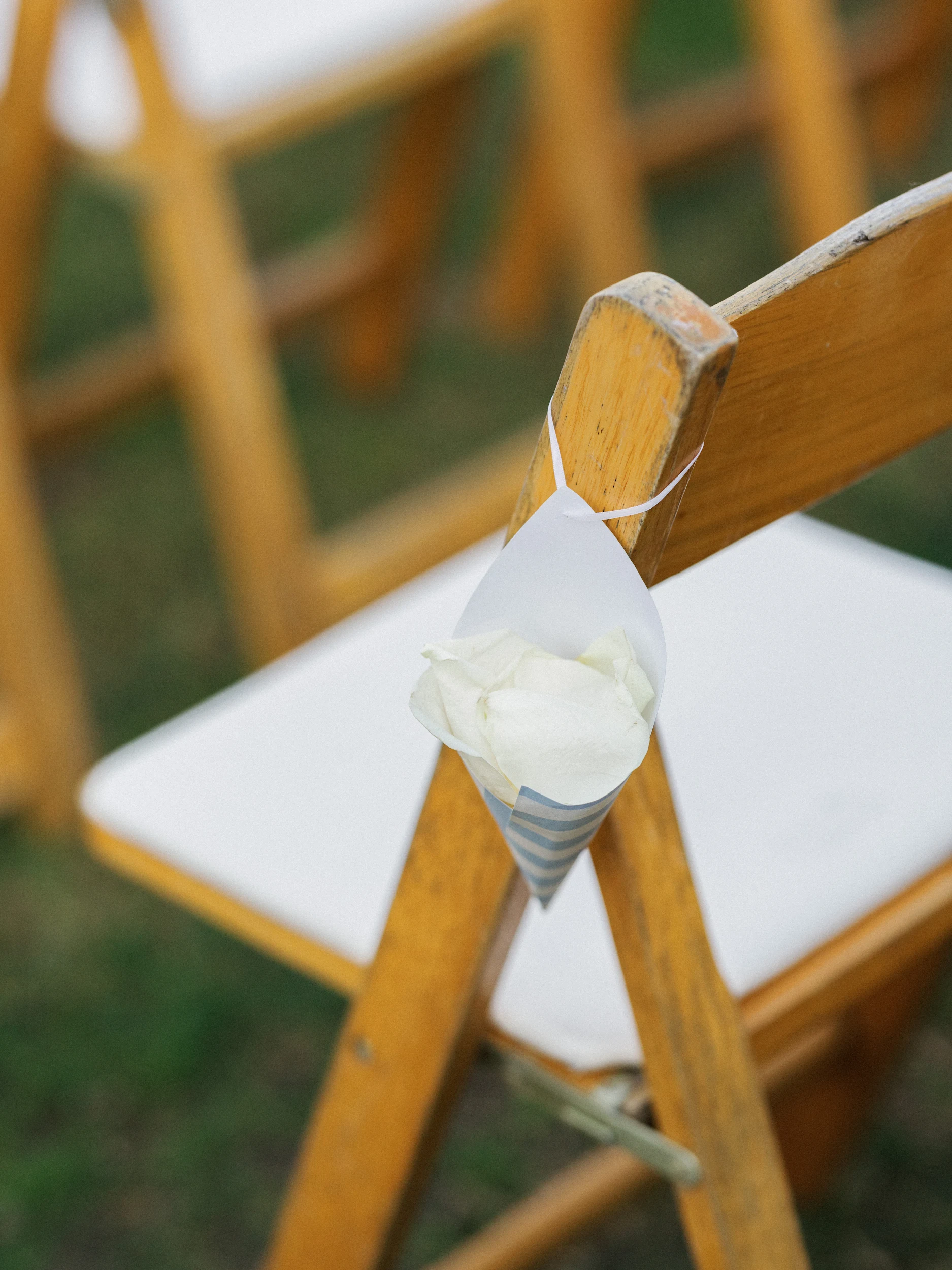 Kat & Nelson — Wedding