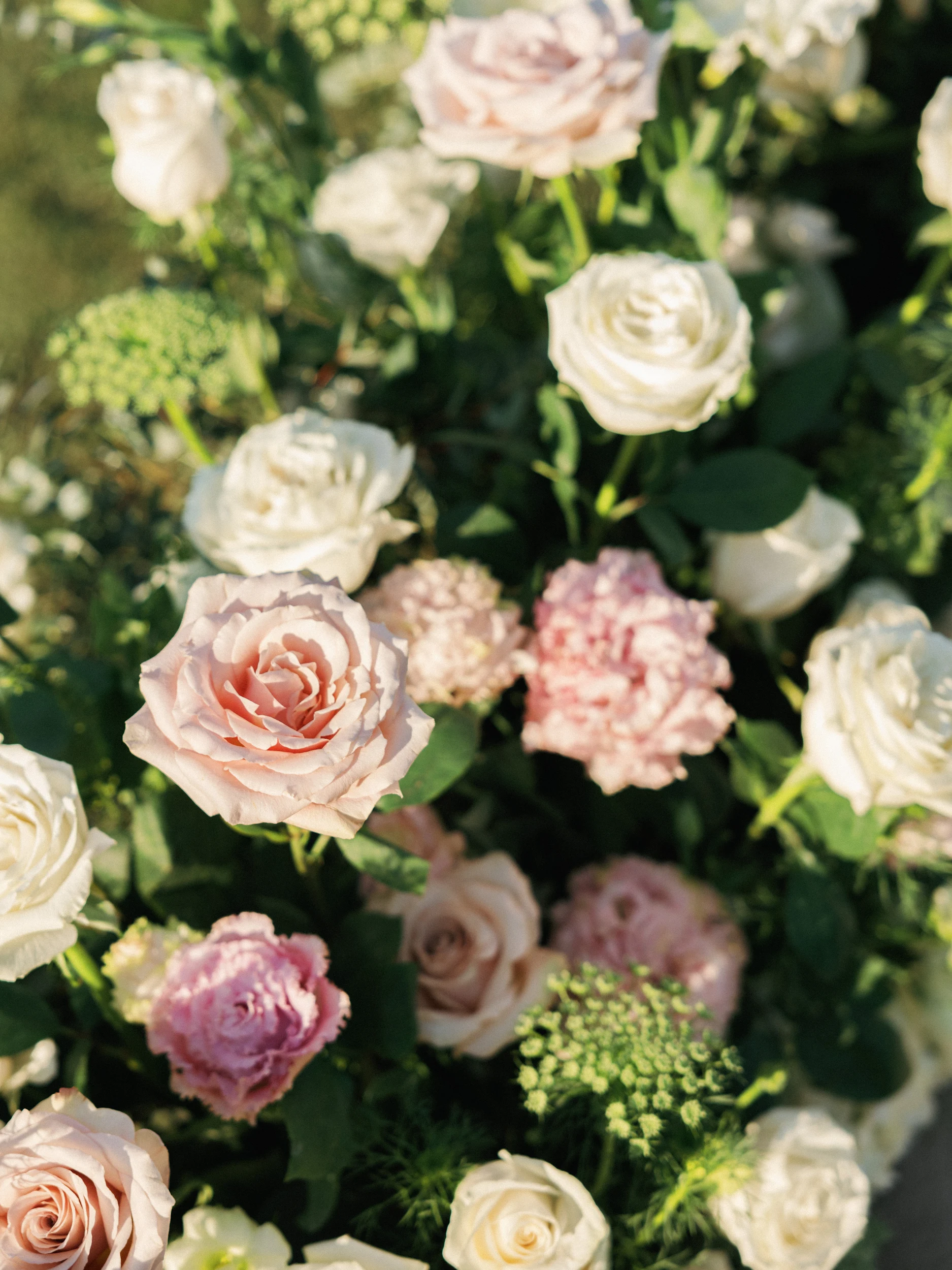 Kat & Nelson — Wedding