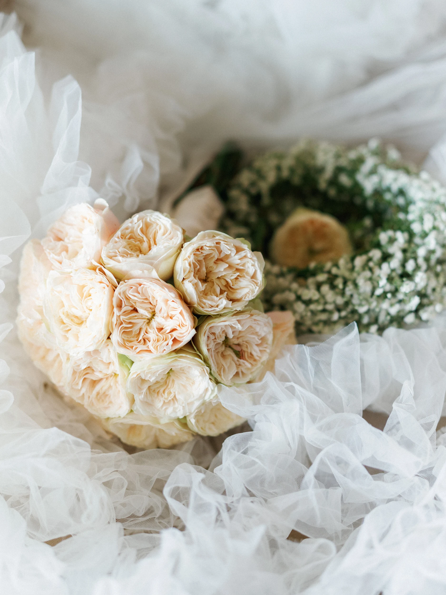 Arghavan & Sam — Wedding