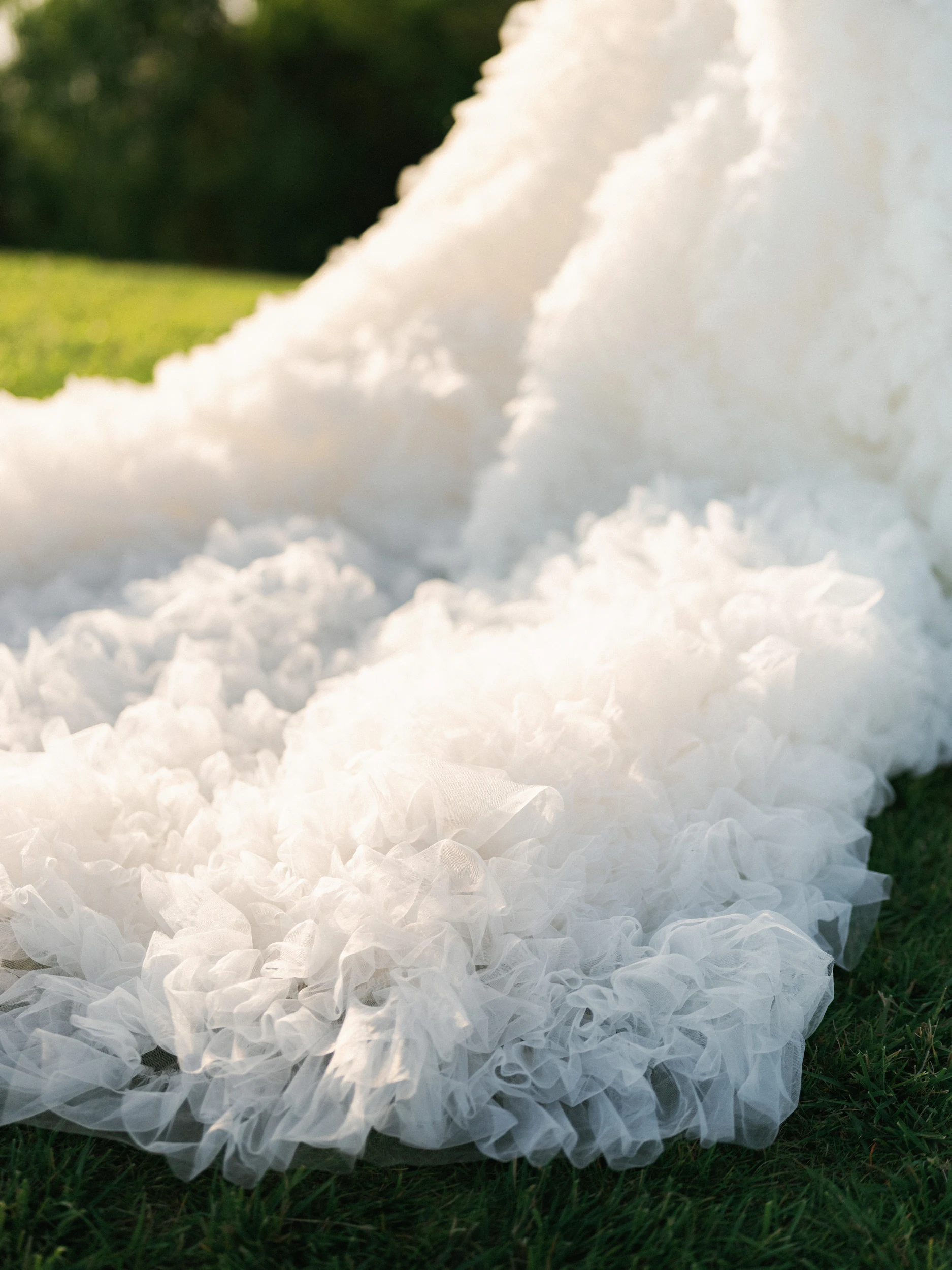 Arghavan & Sam — Wedding