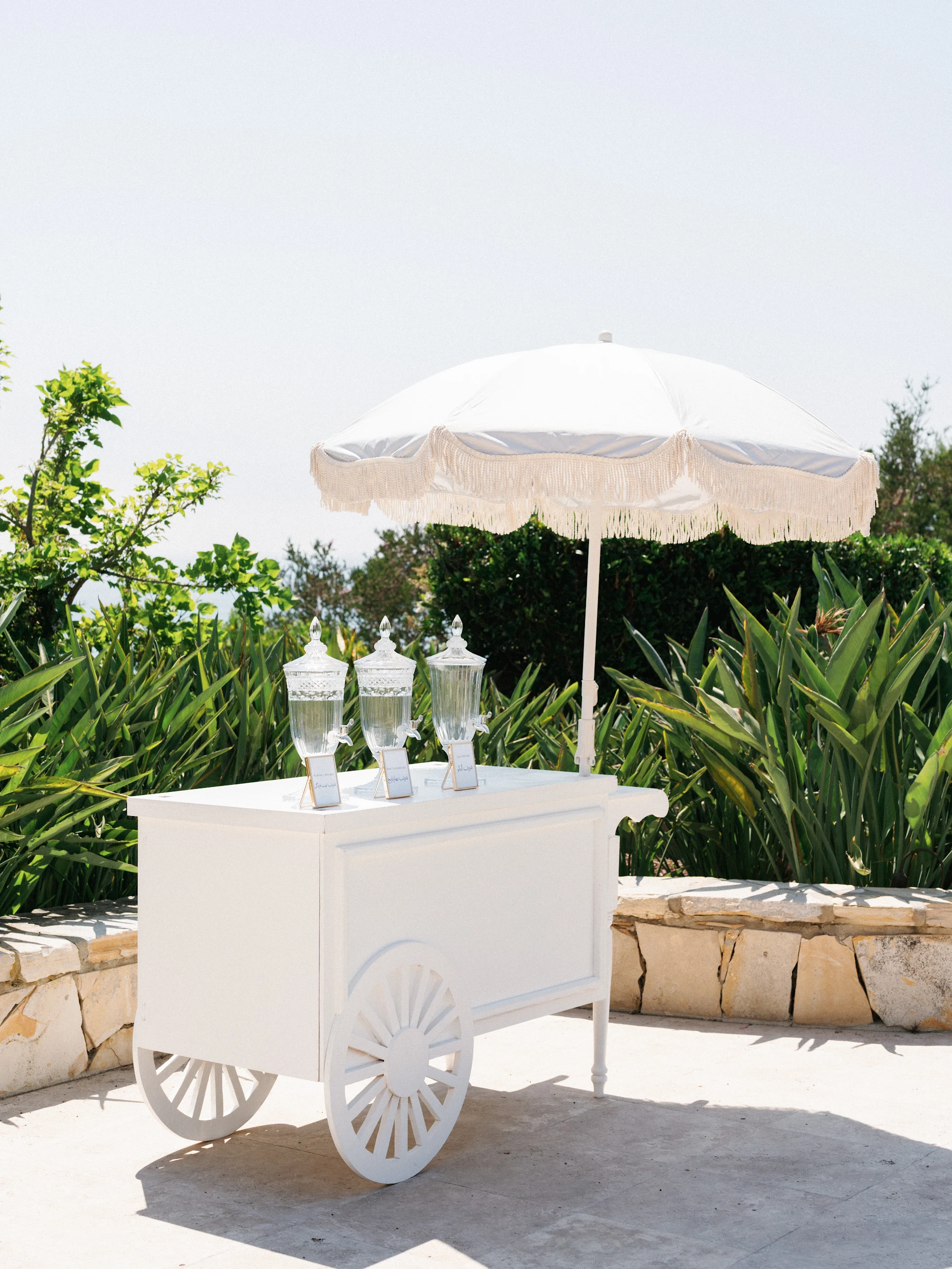 Arghavan & Sam — Wedding