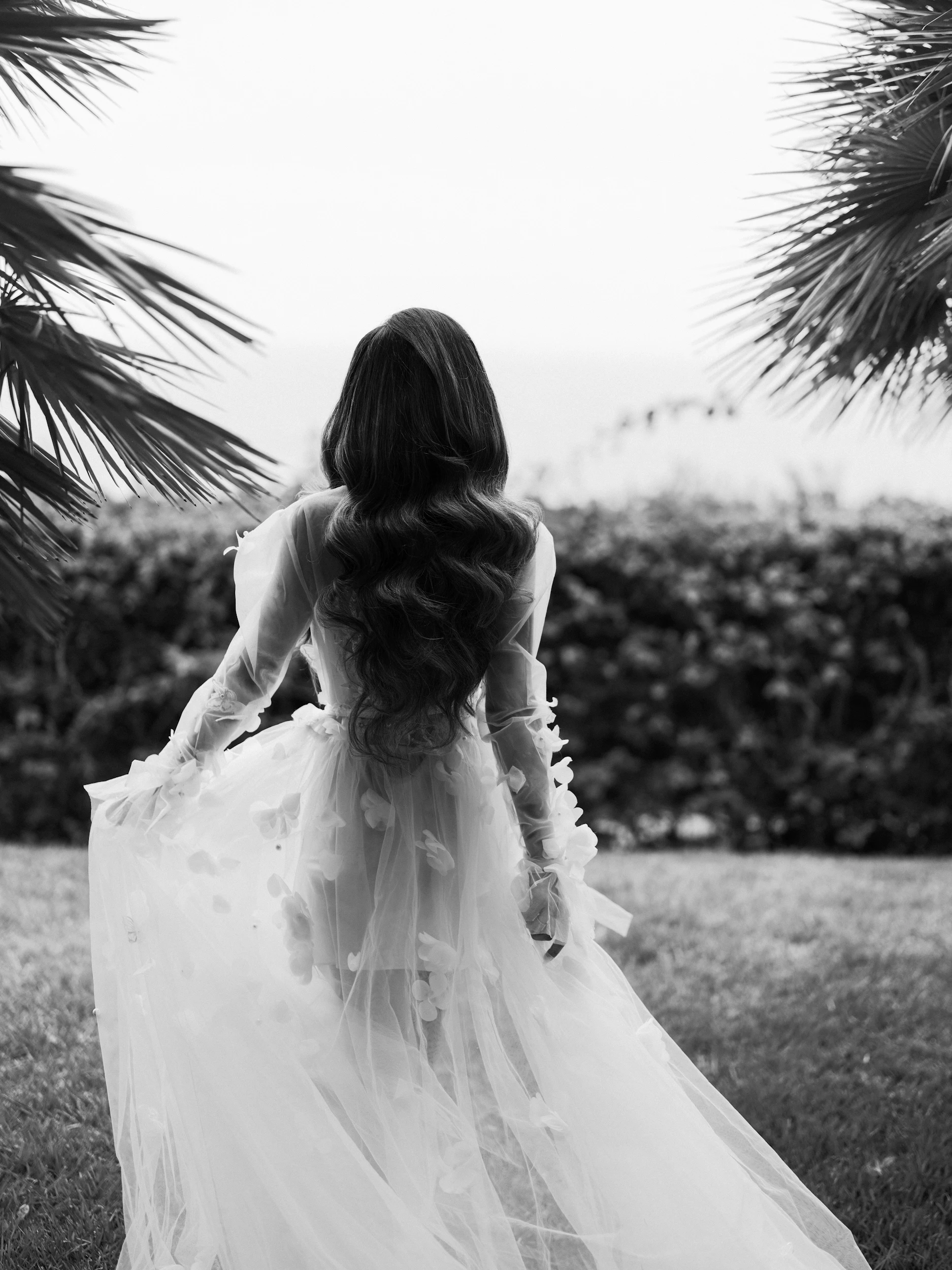 Arghavan & Sam — Wedding