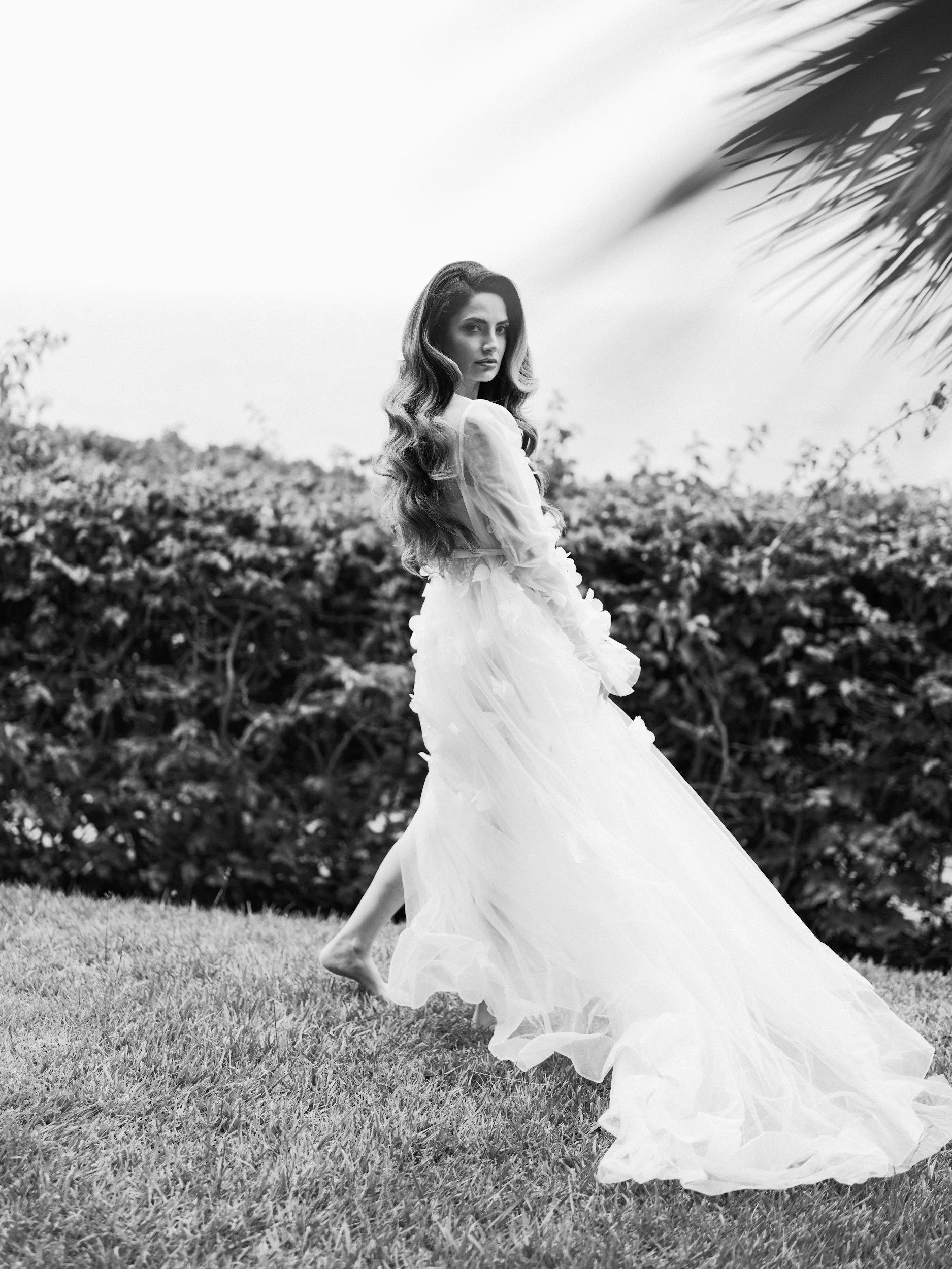 Arghavan & Sam — Wedding