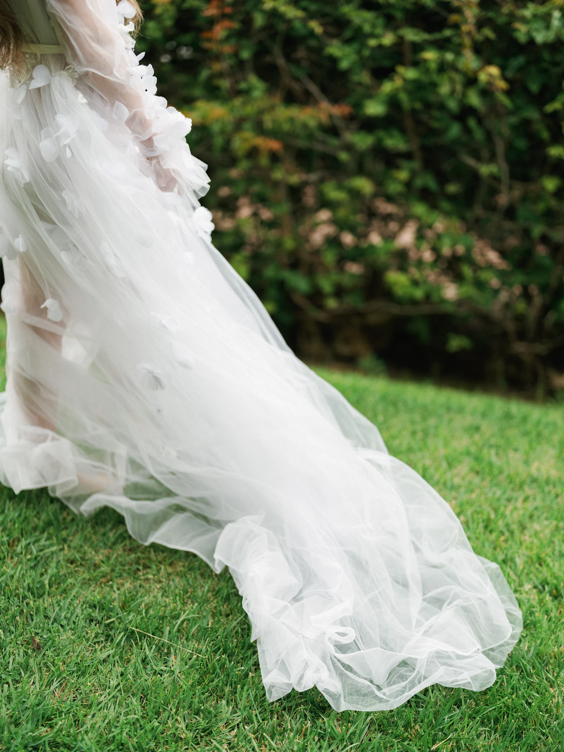 Arghavan & Sam — Wedding