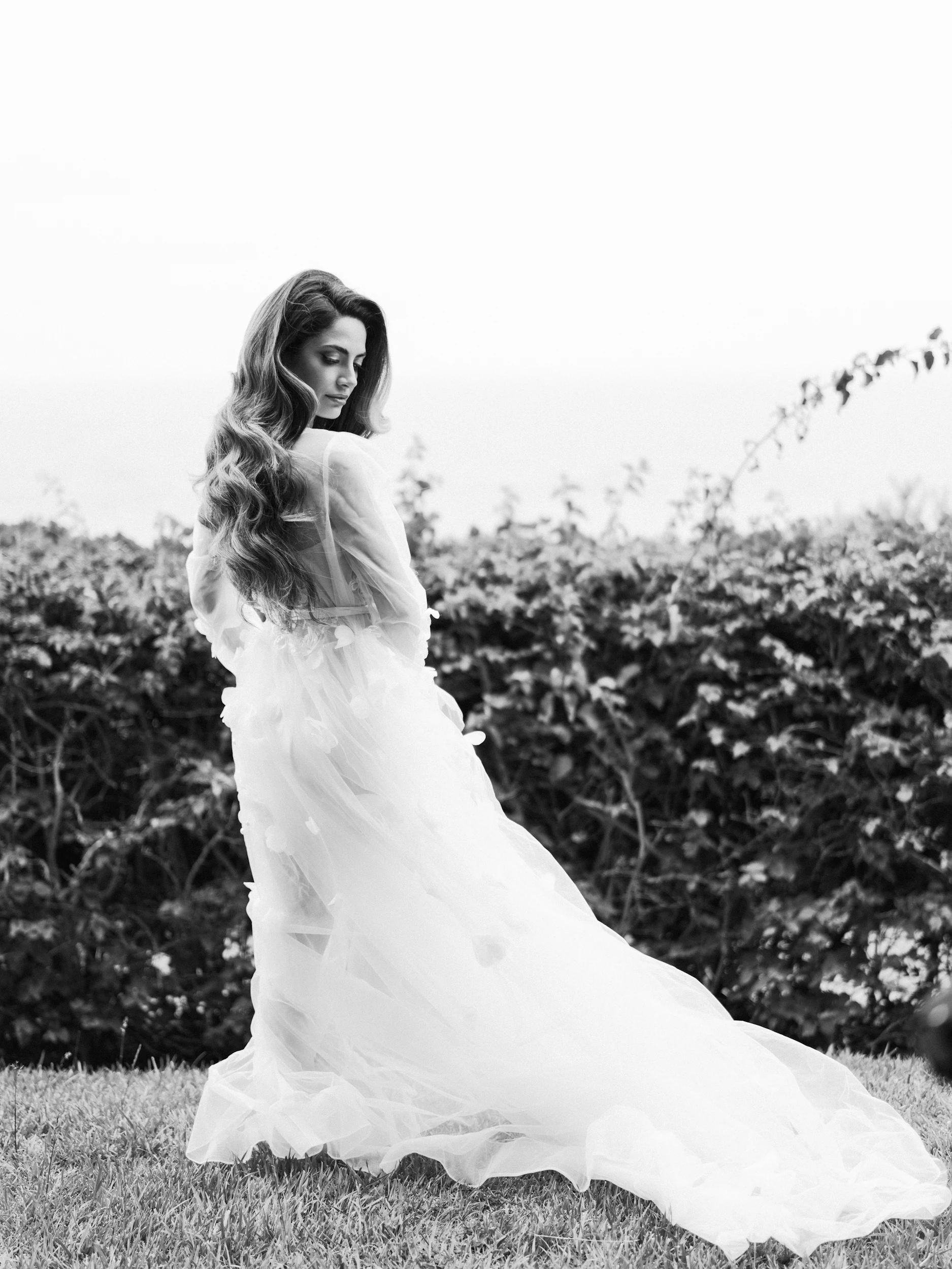Arghavan & Sam — Wedding