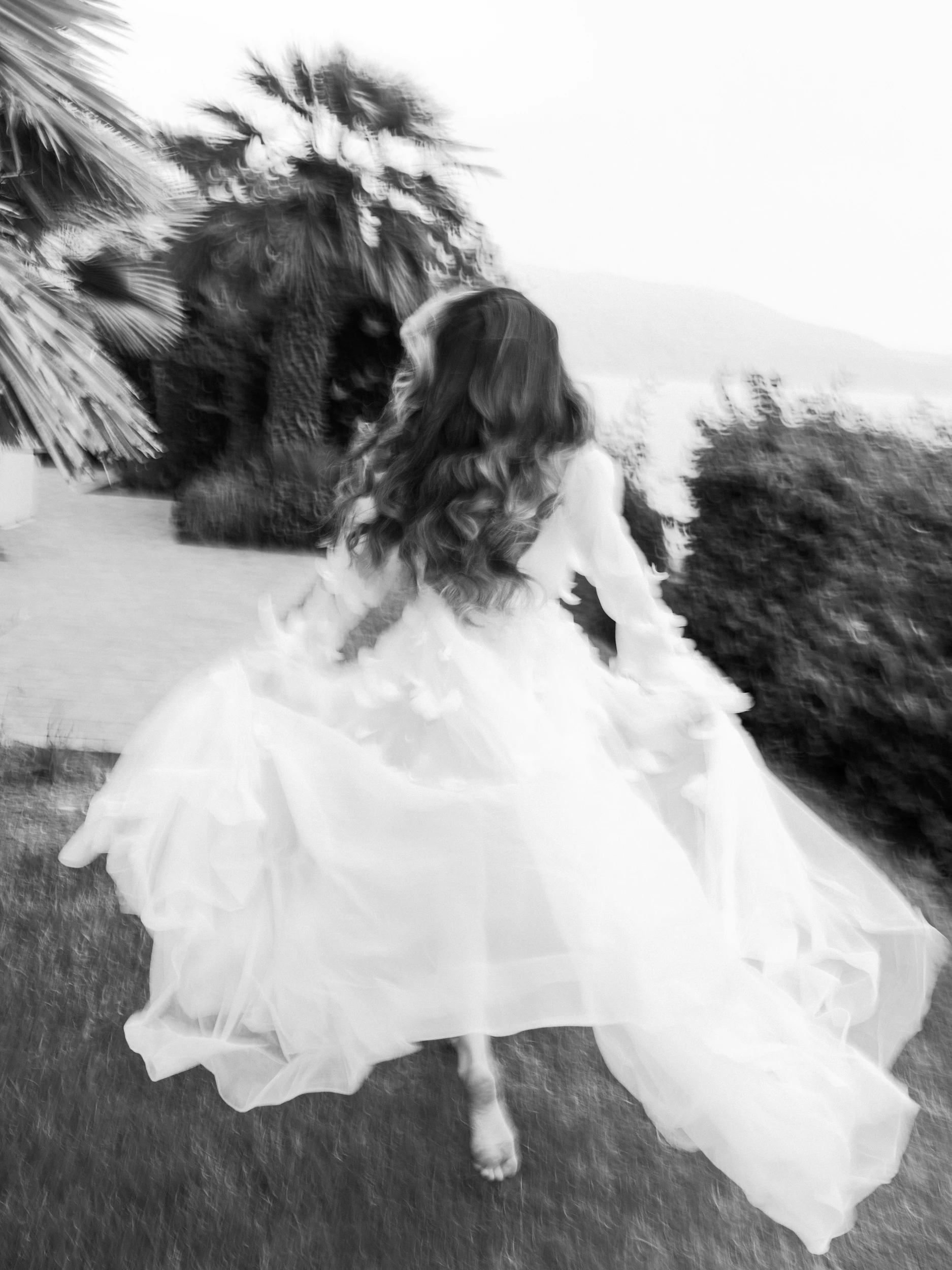 Arghavan & Sam — Wedding