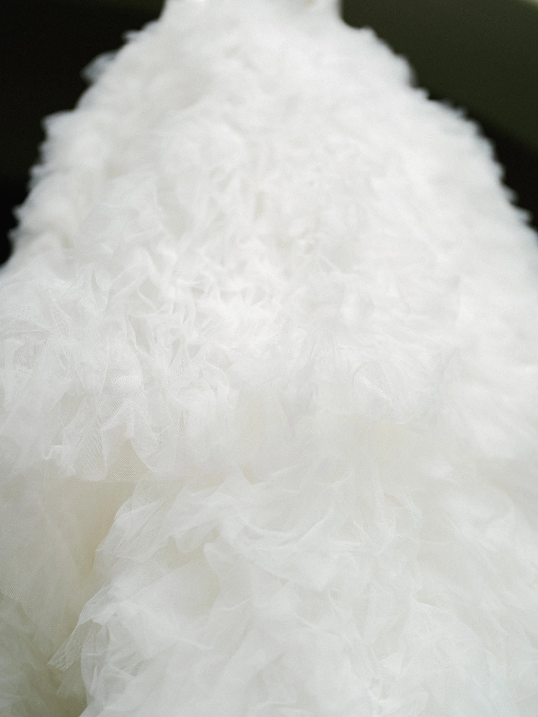 Arghavan & Sam — Wedding